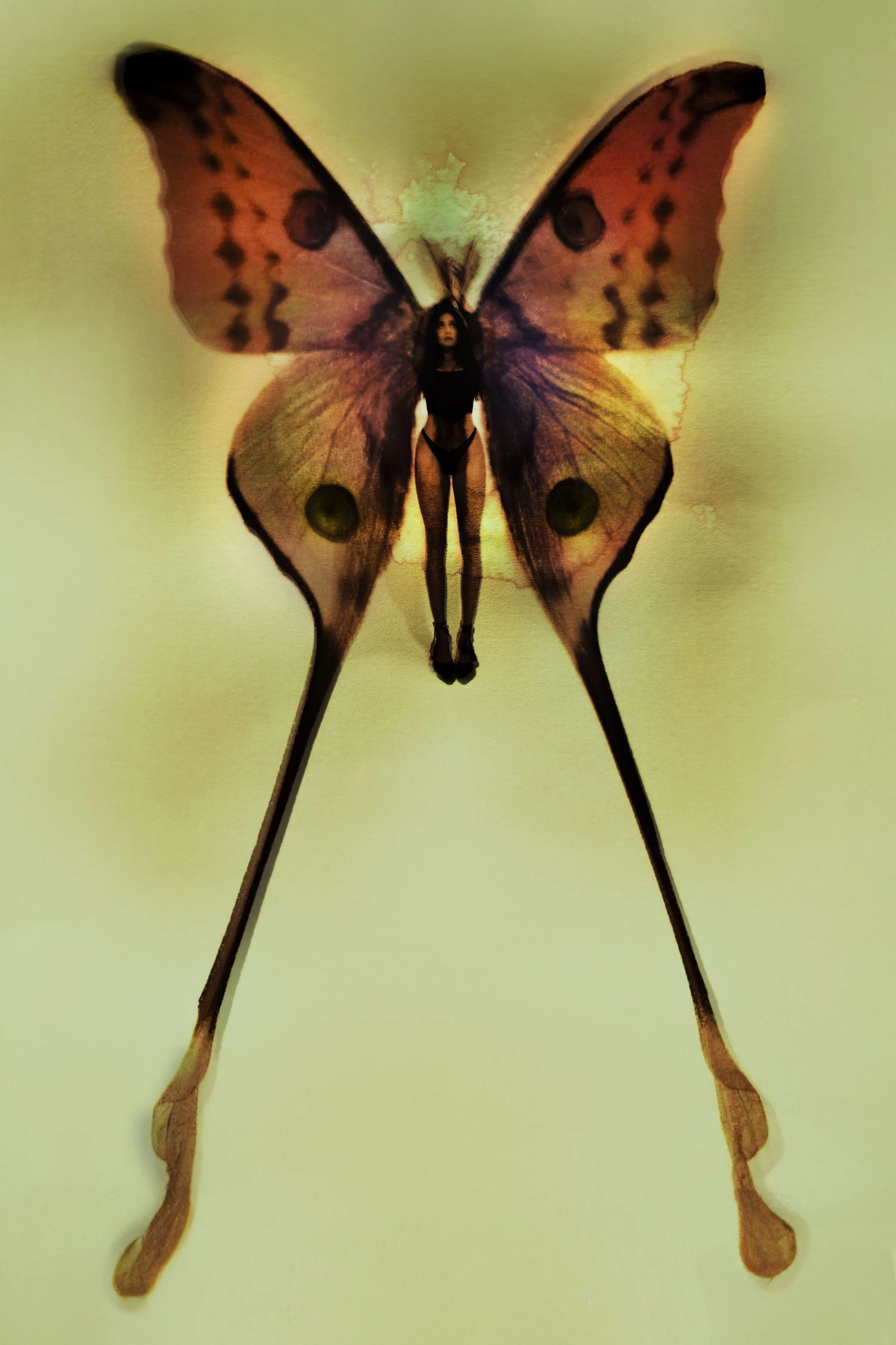 JESSEJO-BUTTERFLY_NEW 12x18.jpg