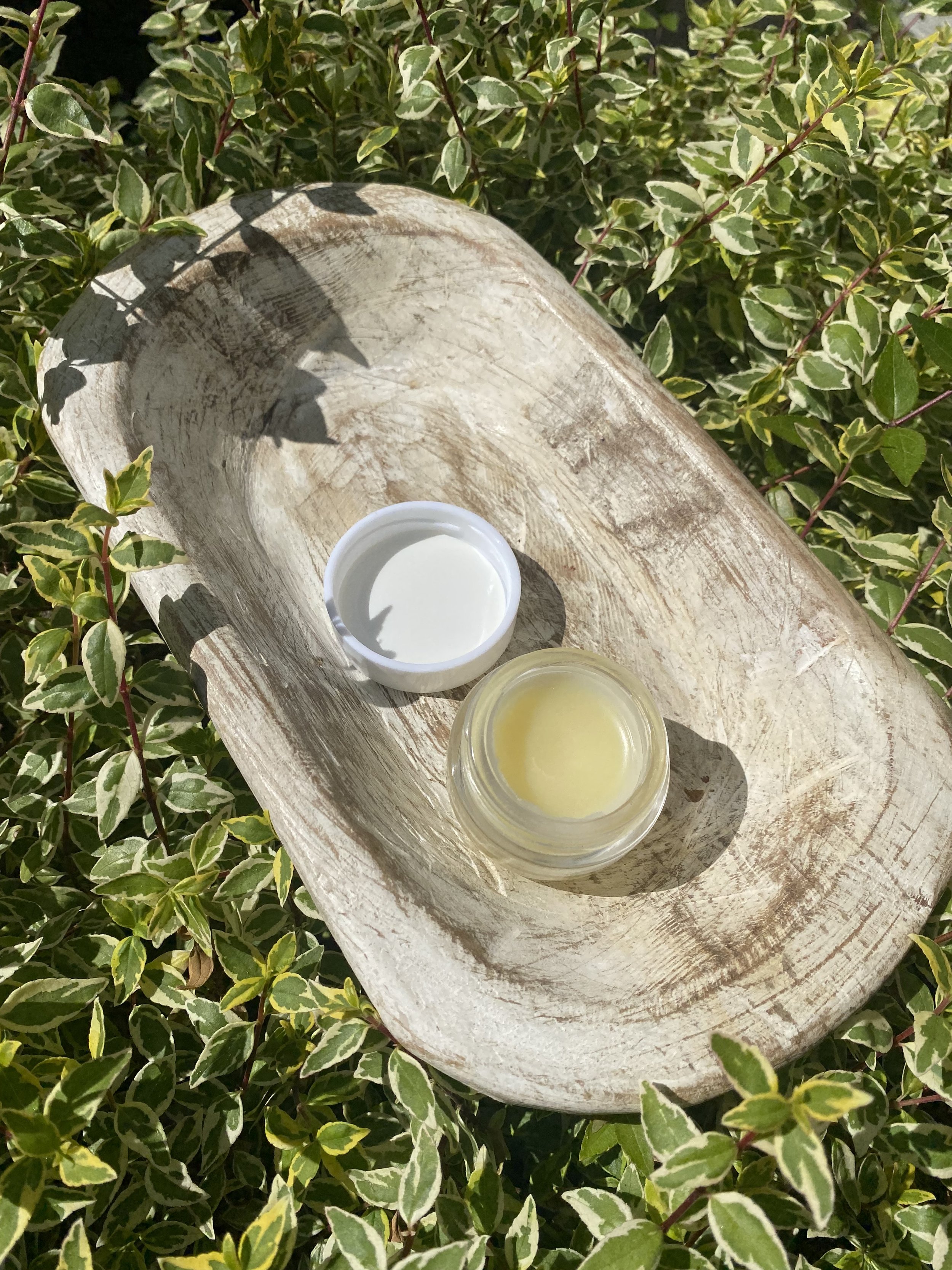 CB Lip Balm with Shea Butter