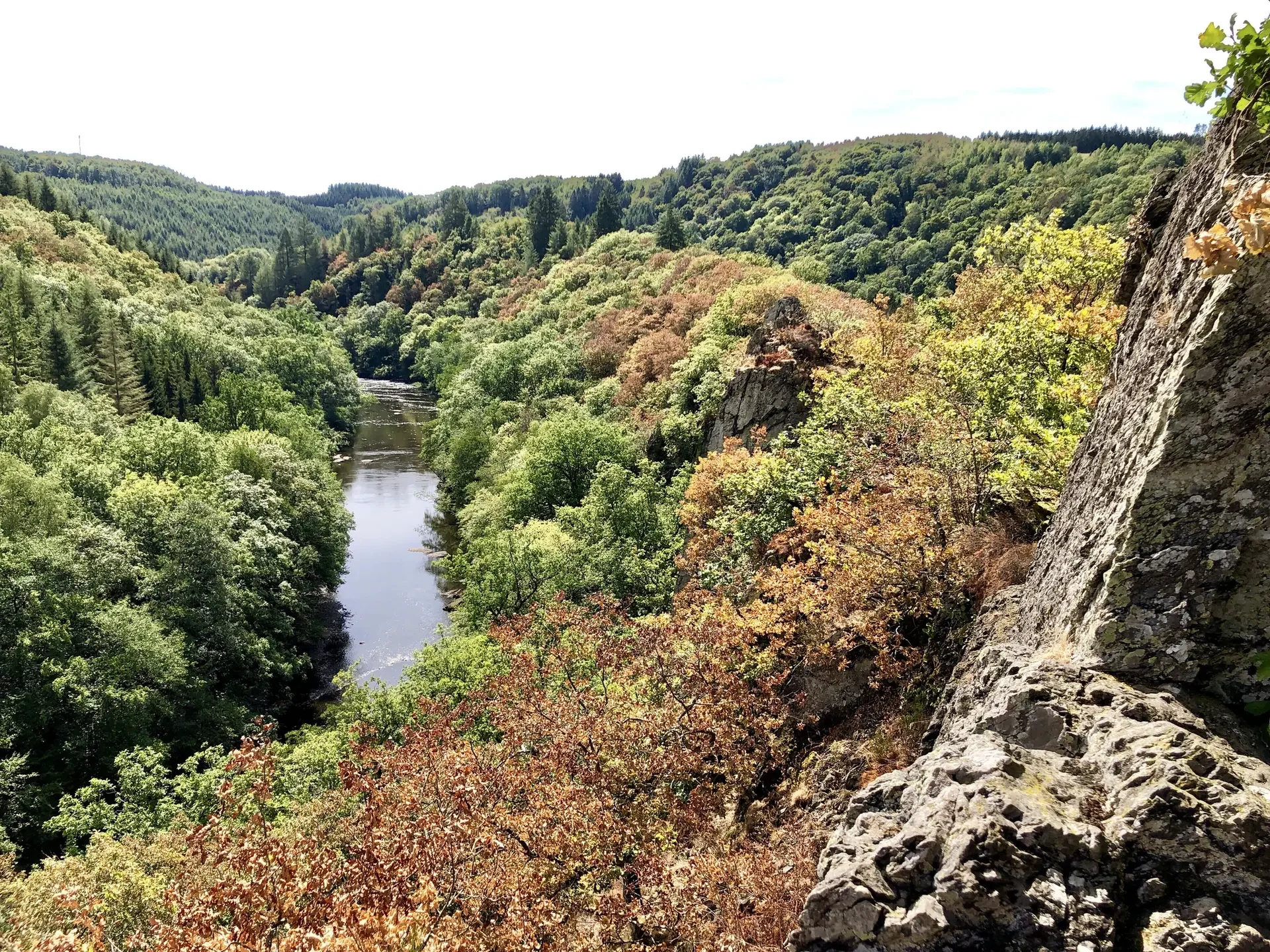 September in the Ardennes