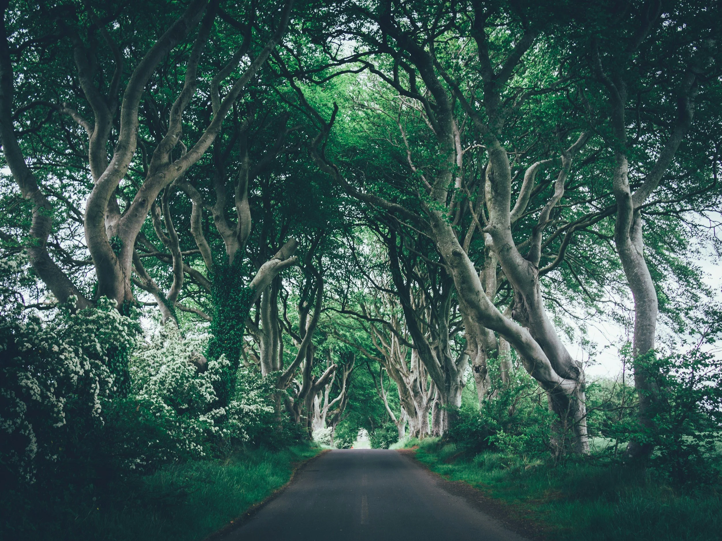 real movie locations