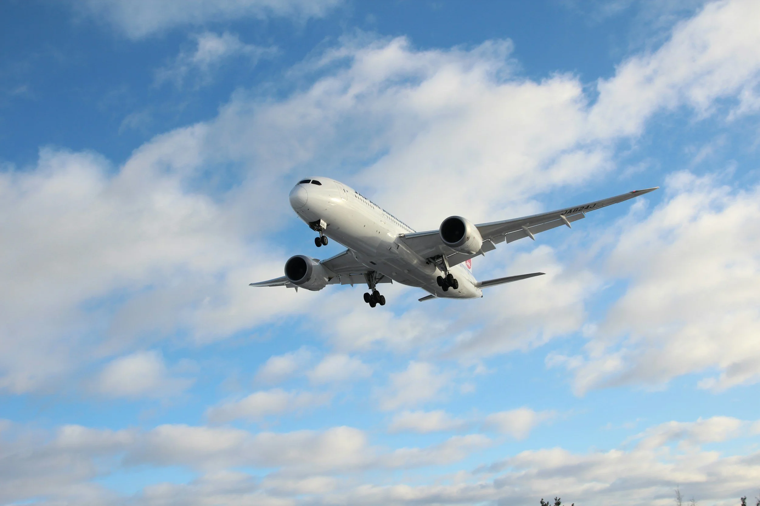 airline passenger rights