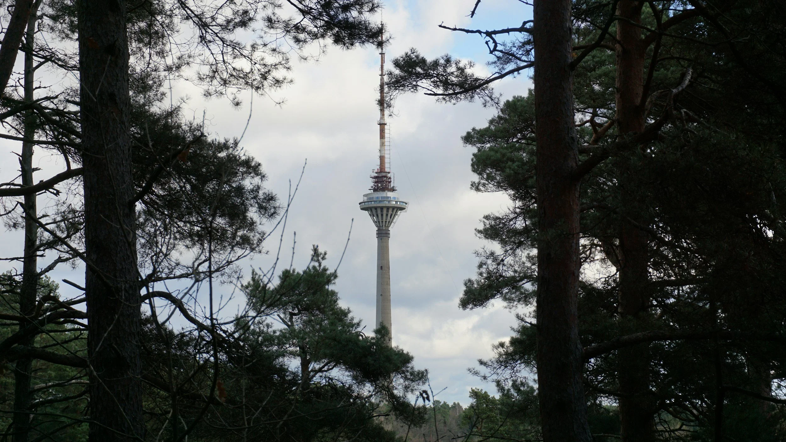 Best Things to Do in Tallinn