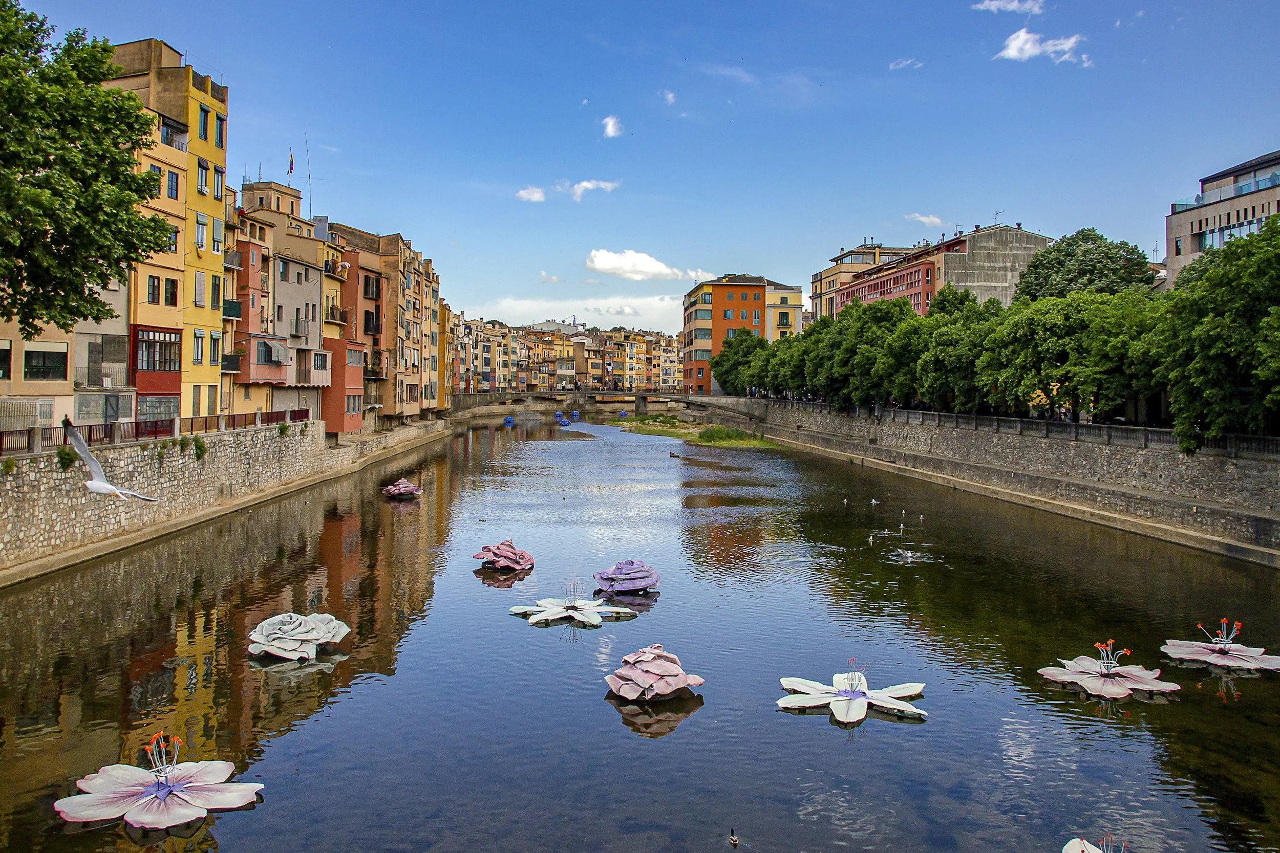 Budget flights to Europe
