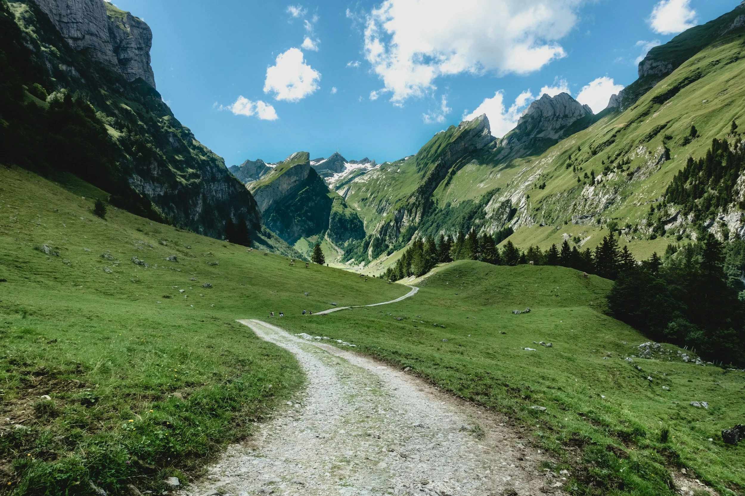 Travel for mild weather