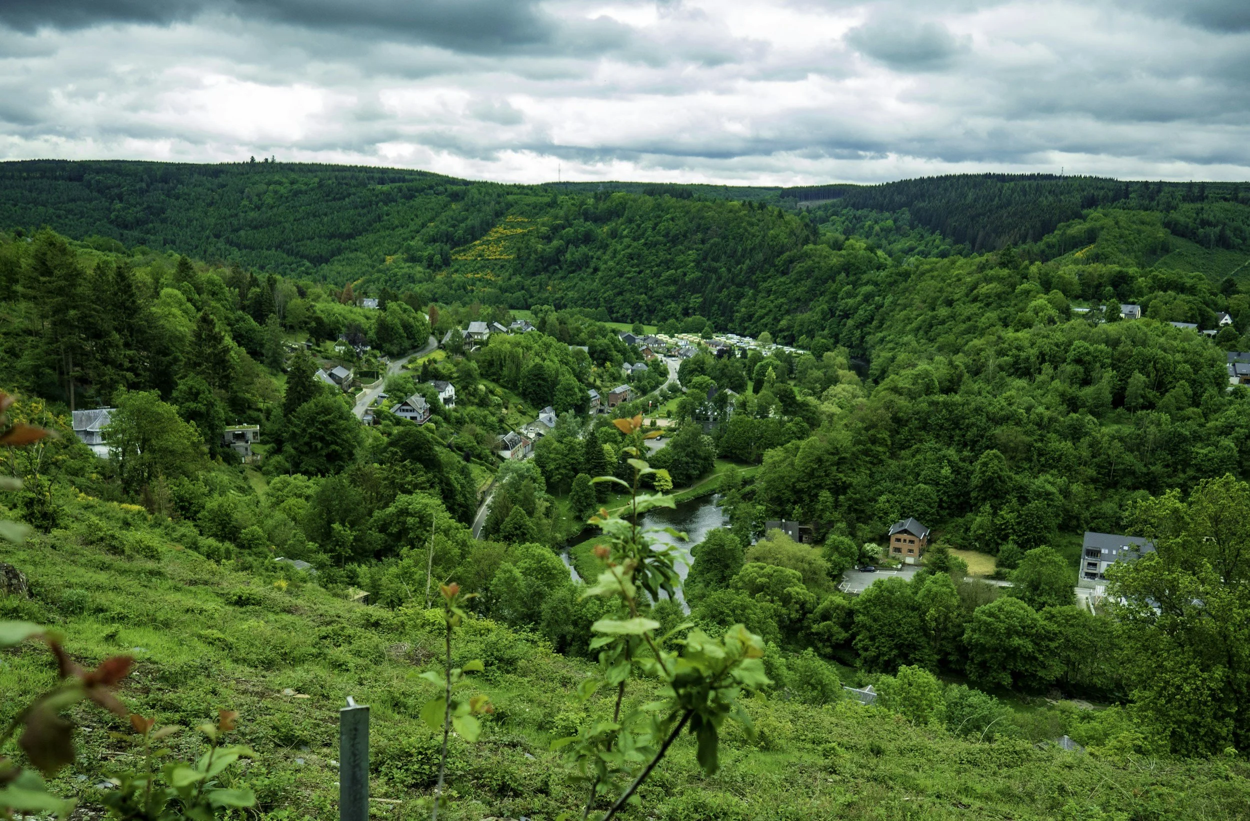 Wildlife watching in Belgium