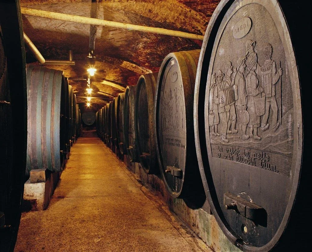 Slovenian wine regions