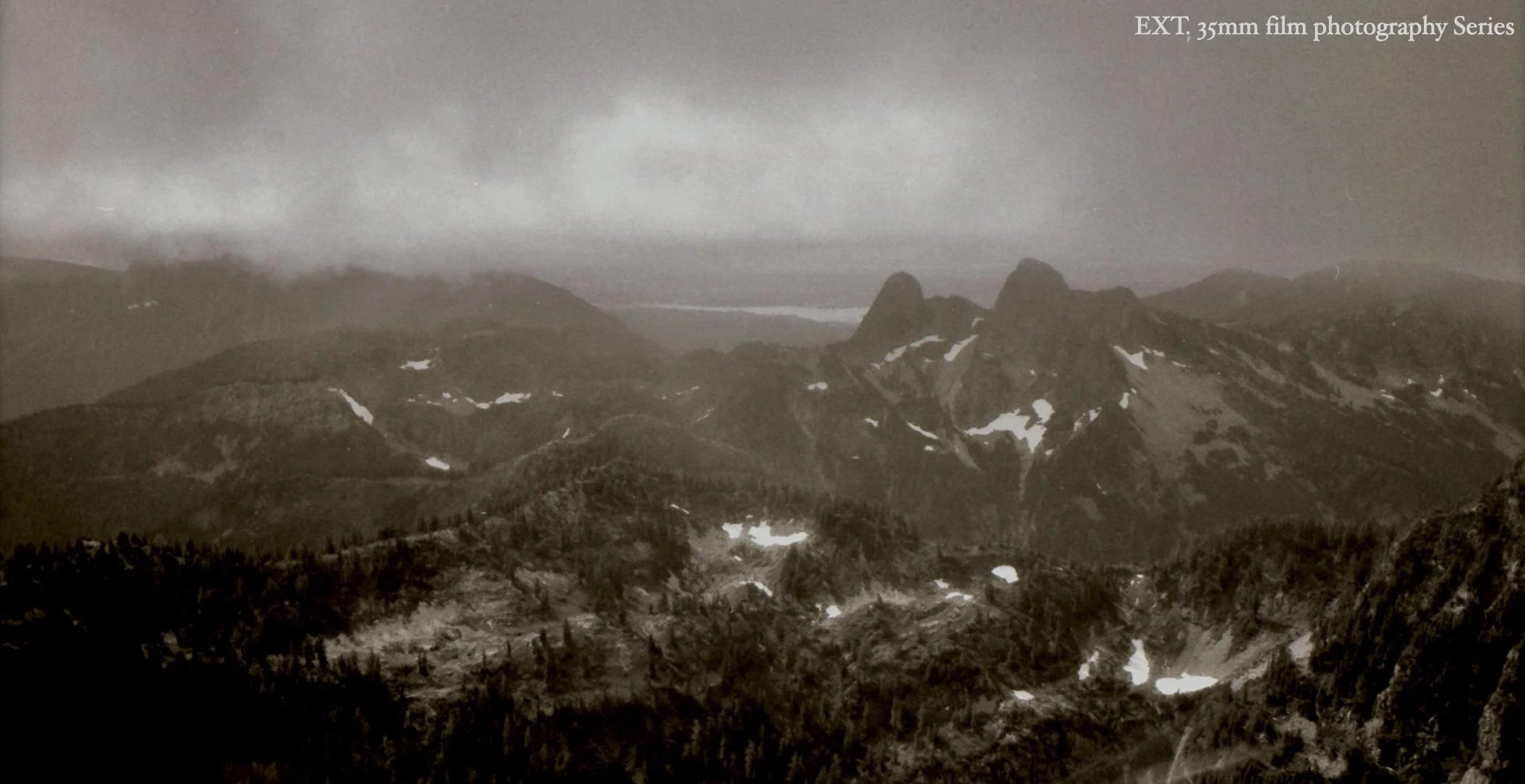 Portfolio 35mm Film 2023 jpeg.010.jpeg