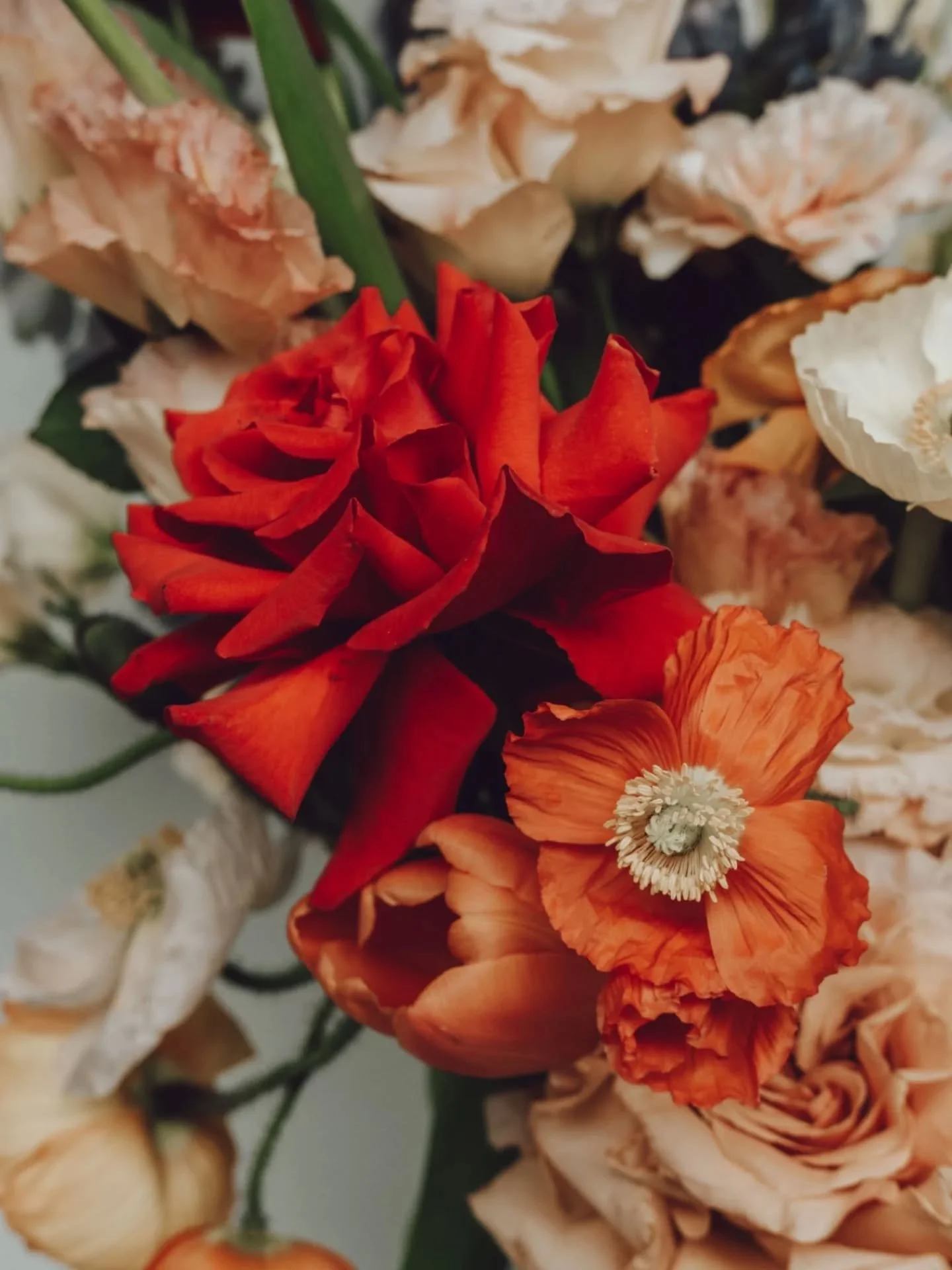 Florals
.
Unlocking a dreamy new past time - photographing florals for future paintings....bliss
.
#florals #flowers #floralphotography #autumncolours #mutedtones #stilllifephotography #referenceimagery #floralimagery #rose #tulip #rusticblooms #bouq