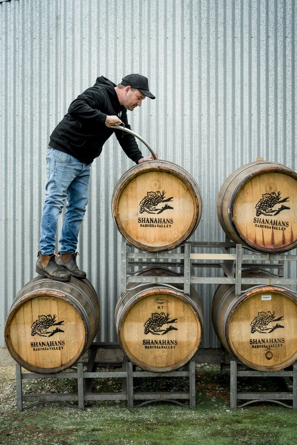 A man standing on a wine barrel, inspecting a wine barrel labeled "Shanahan's Barossa Valley," with more barrels stacked on a rack against a corrugated metal wall.