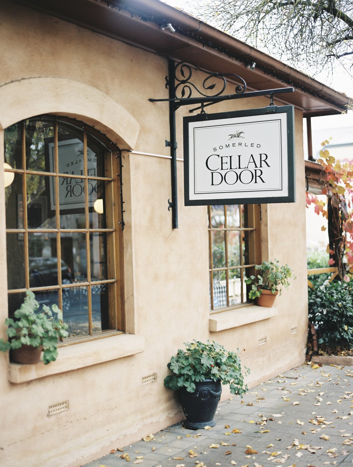 Sign for Somerled Cellar Door hanging outside a building with window planters, with fallen leaves on the sidewalk.