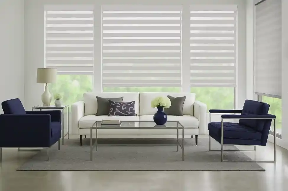 transitional-shade-living.webp
