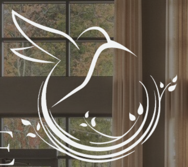 Hummingbird silhouette with leaves and curved lines on a window with curtains and trees outside.