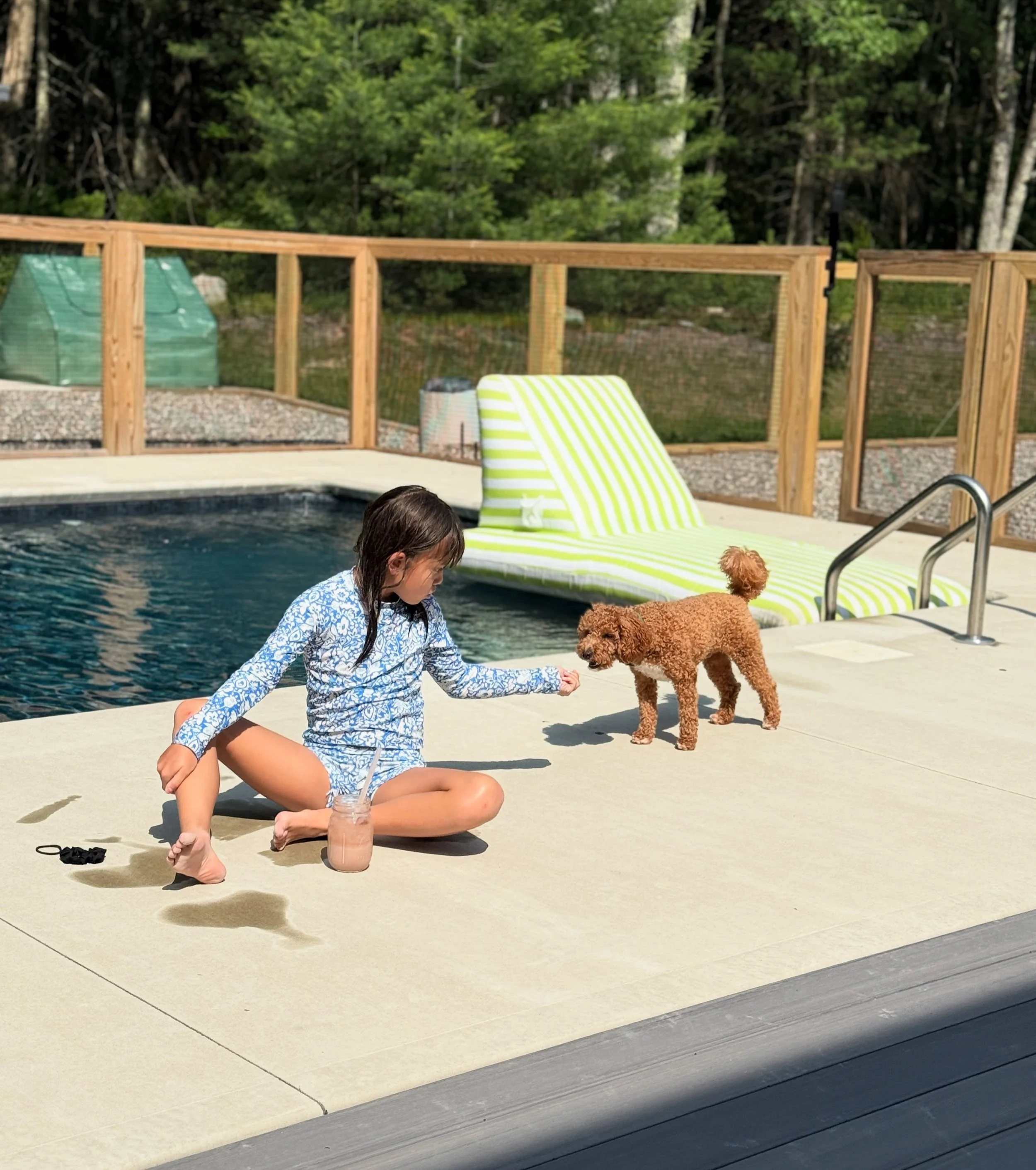 A young girl in a blue patterned wetsuit playing with a small brown poodle by a backyard pool on a sunny day.