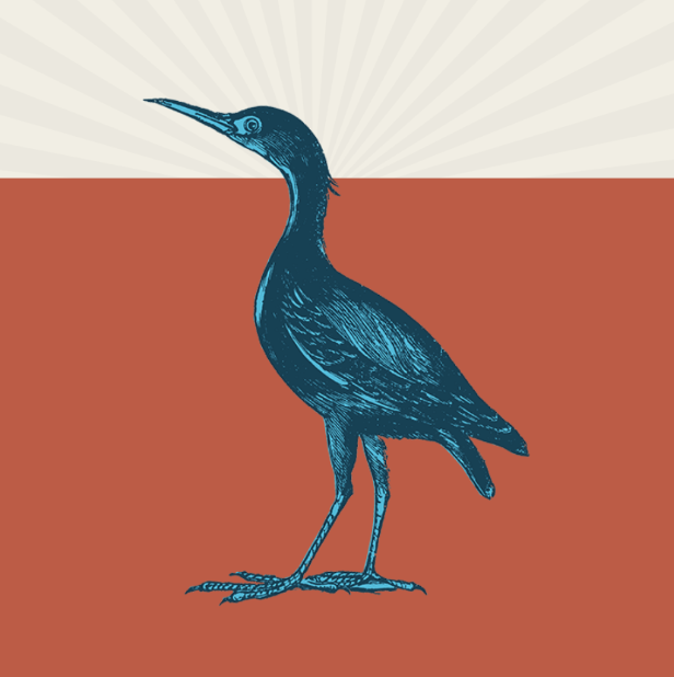 Illustration of a blue bird standing on a ground with a beige background and radiating lines behind its head.