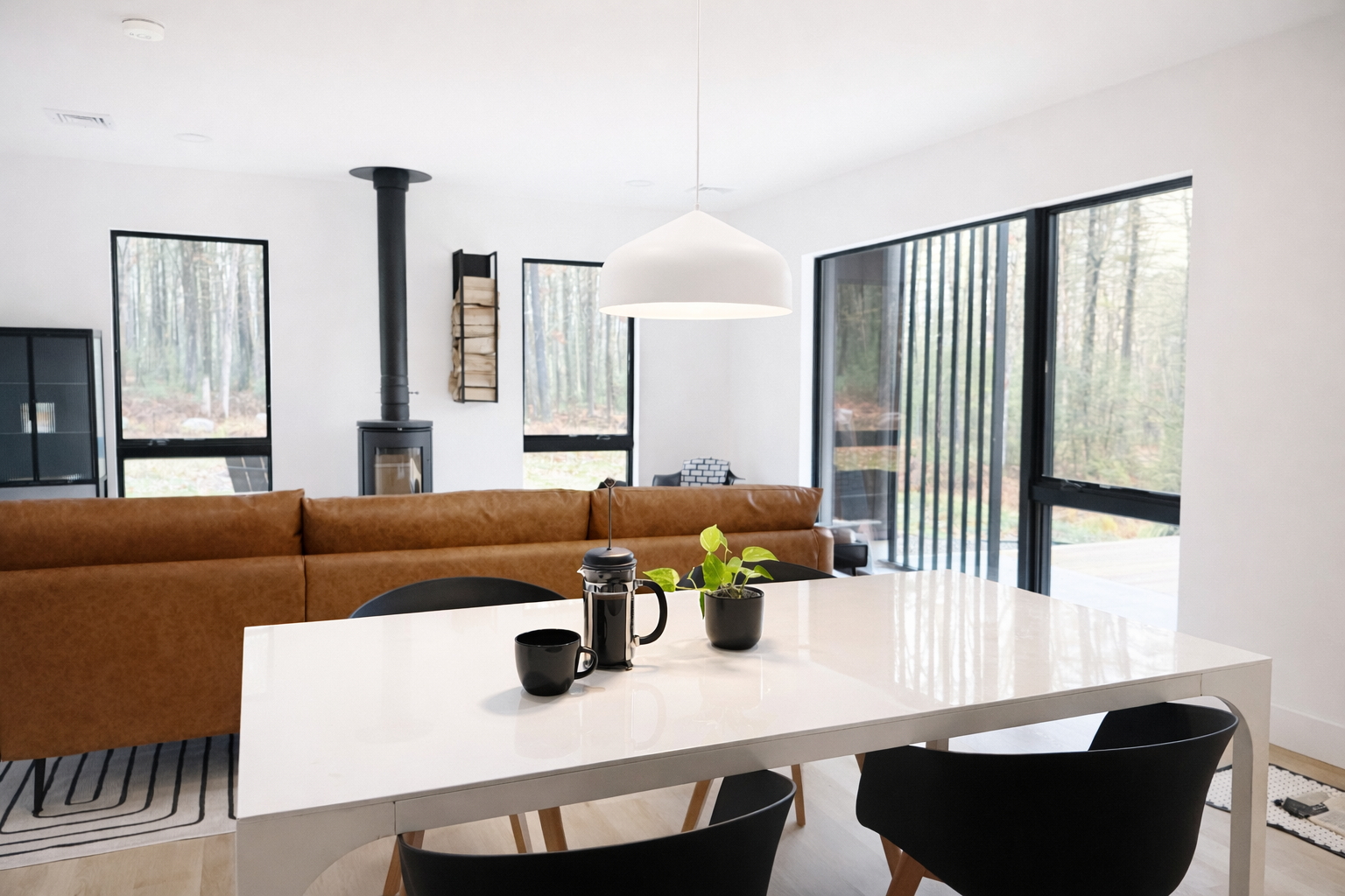 Open space dinning and living room 