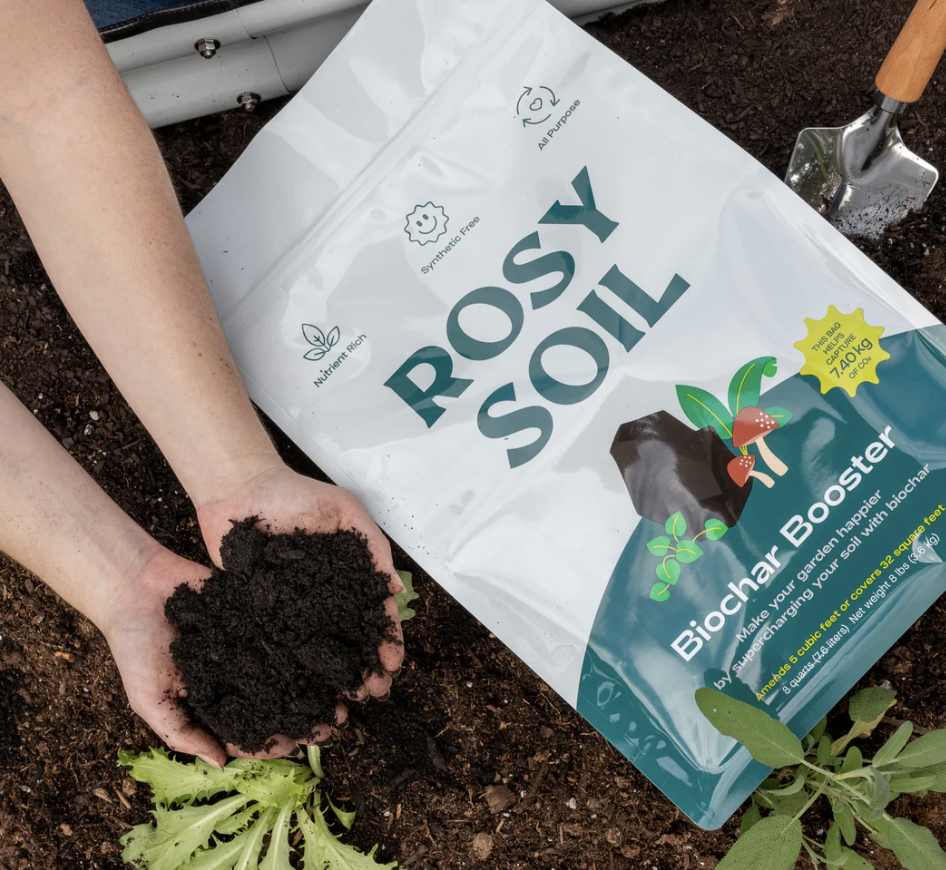 Person planting a seedling in soil, with a bag of Rosy Biochar Booster nearby.