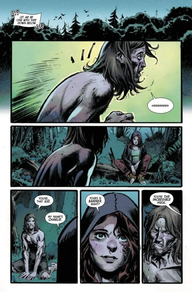 HULK2023002_Preview-5.jpeg