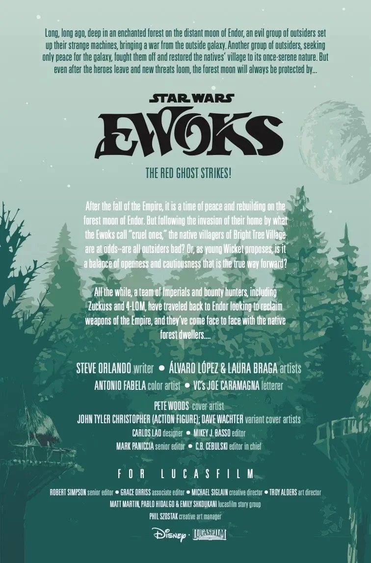 STWEWOKS2024002_Preview-2.jpeg