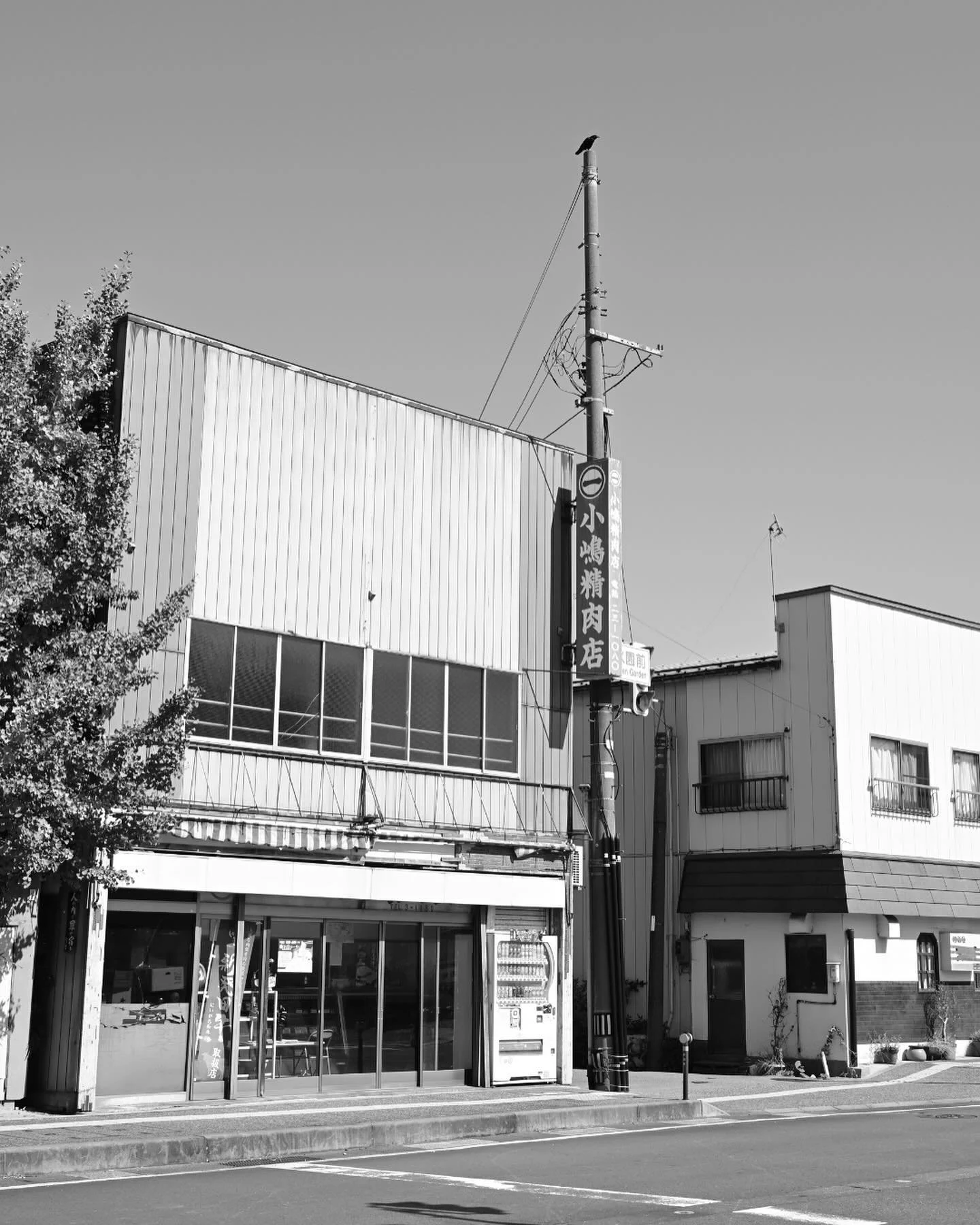 Soul-mating in Niigata and Sadogashima 🖤✨🖤