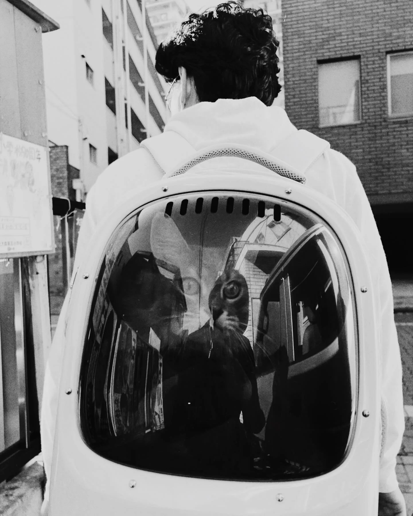 Precious time walking in the park with my babies 🫶🏼
Kiki-chan made new human and dog friends 🤗
Somehow my soul is healed 🥹