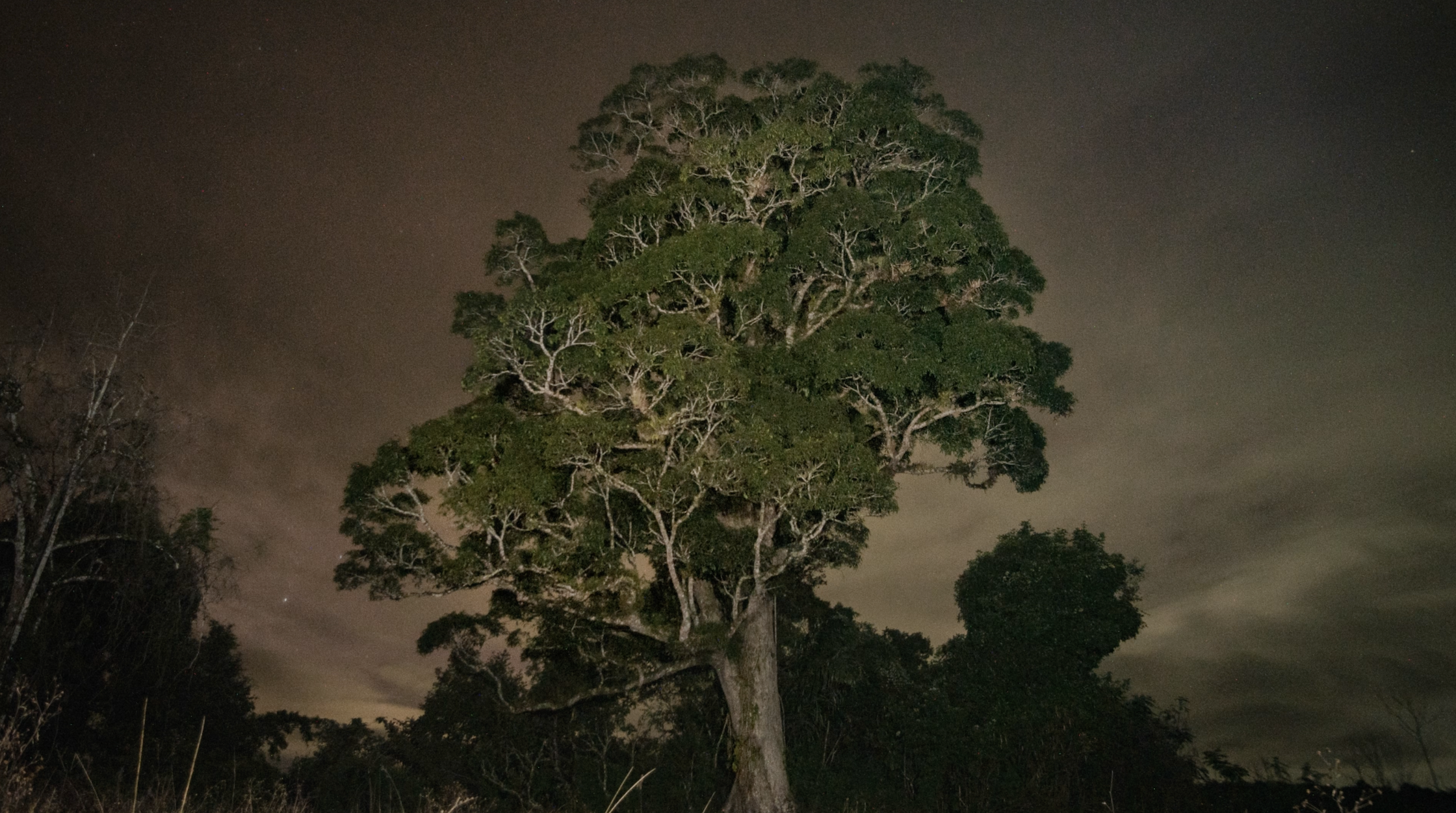 Dispatches from the Region – Presented by Objectifs (Singapore) • Slideshows at the Ephemere Photo Fest 2025
