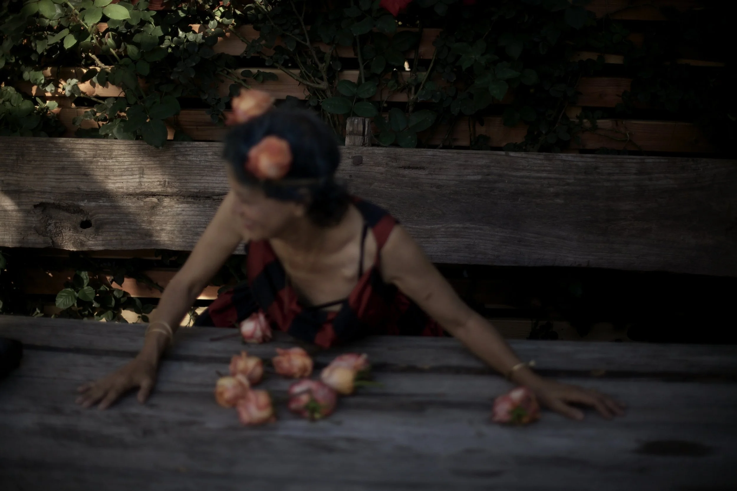 Paula Rae Gibson • Slideshow, Photobook Launch, and Artist Talk at the Ephemere Photo Fest 2025