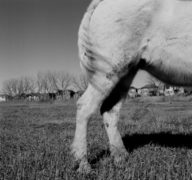 On Building Community Through Photography with Macy Castañeda Lee (Worlds Through Minds) • Artist Talk at the Ephemere Photo Fest 2025