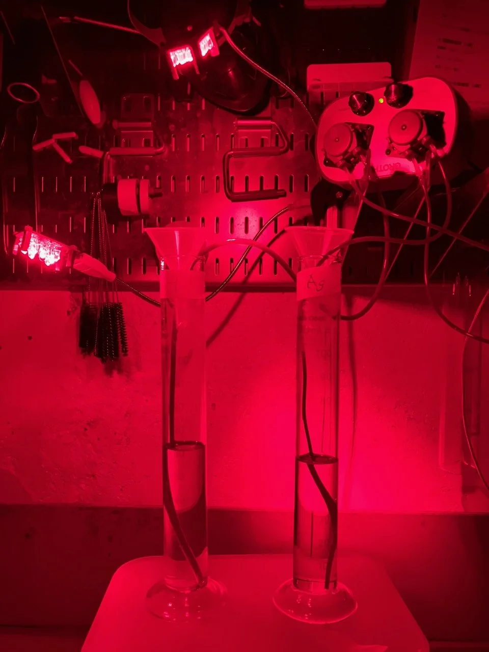 Why Artists Make Film — Kenshi Daito: Talk Event