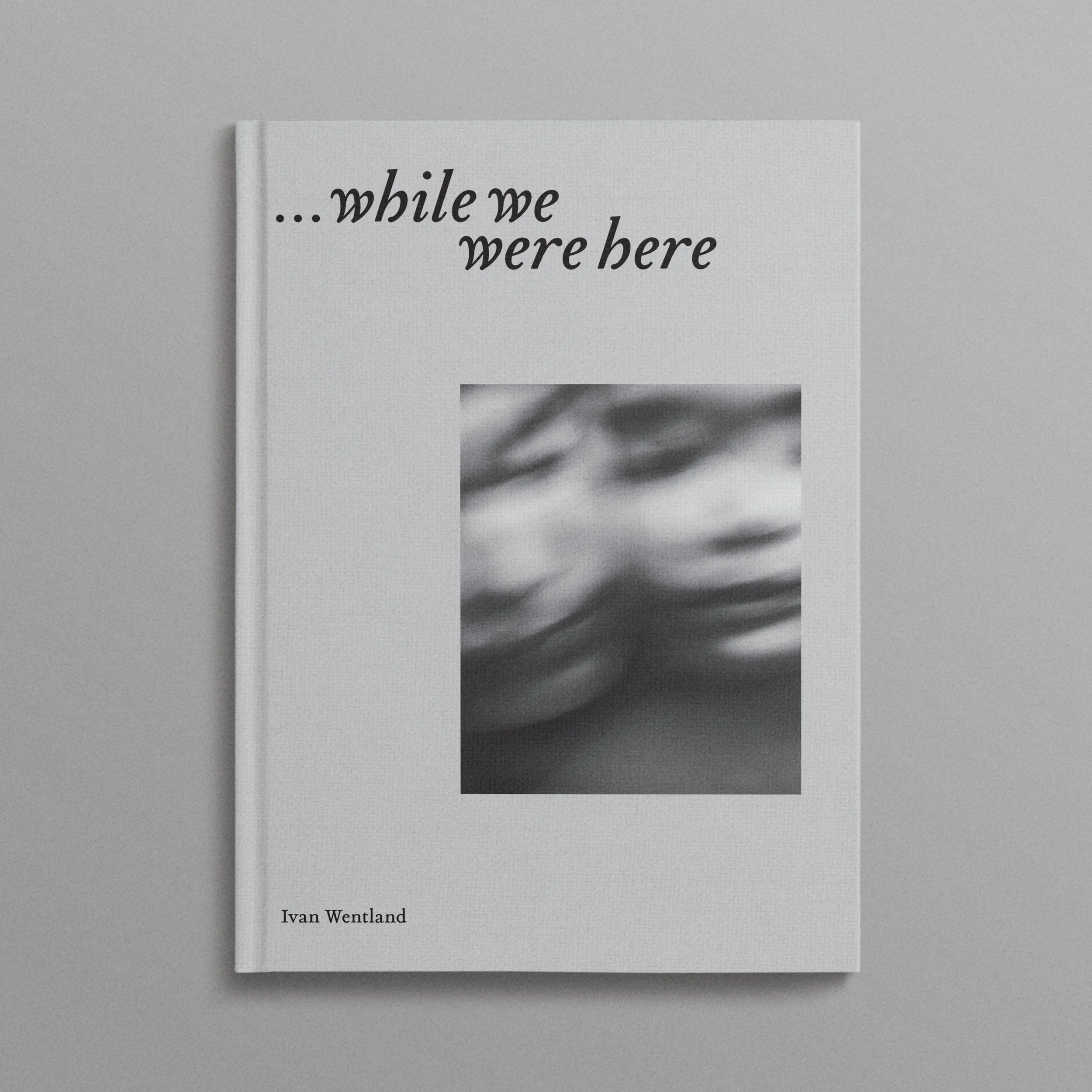 While We Were Here — Ivan Wentland