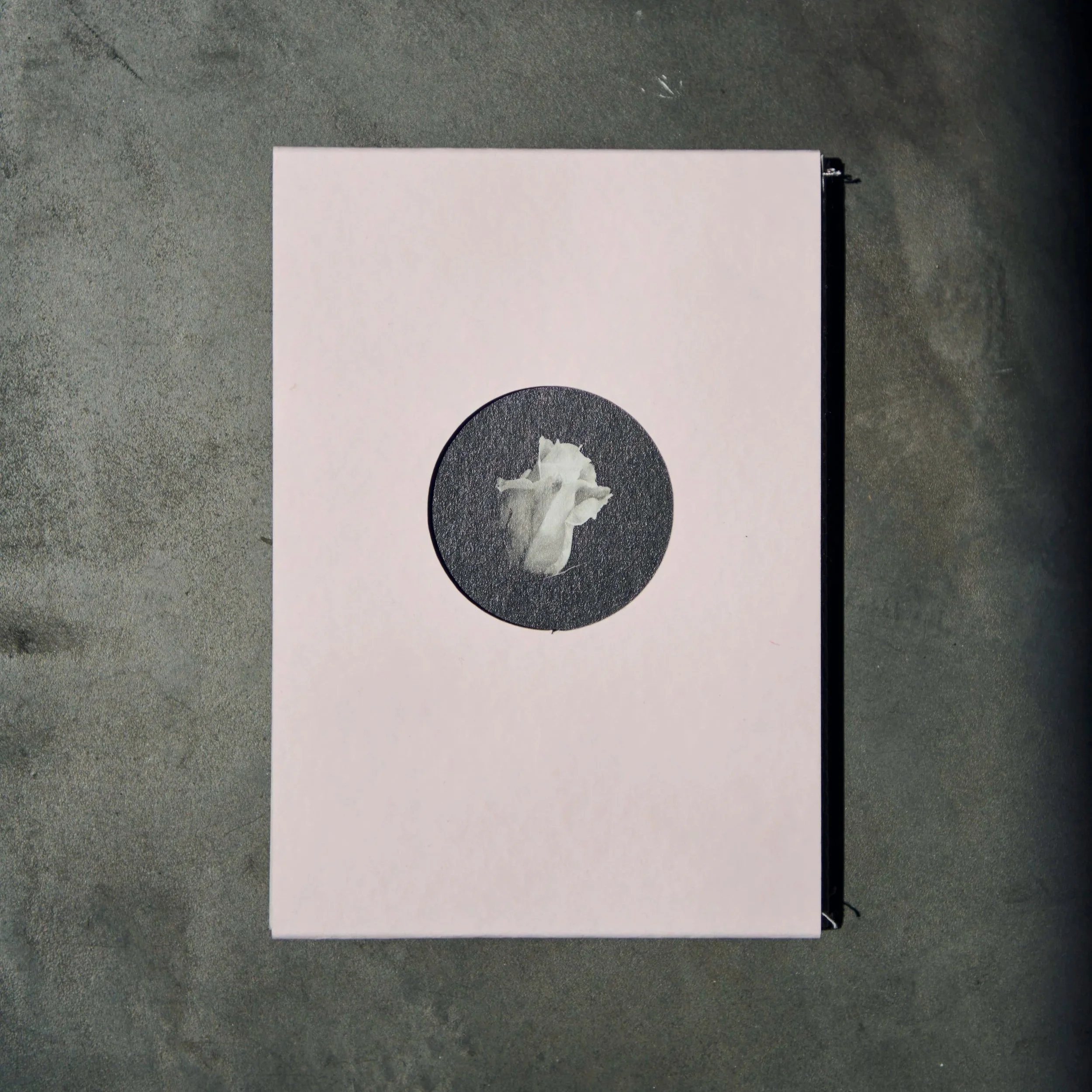 Rinzai — Kousuke Shimasaki