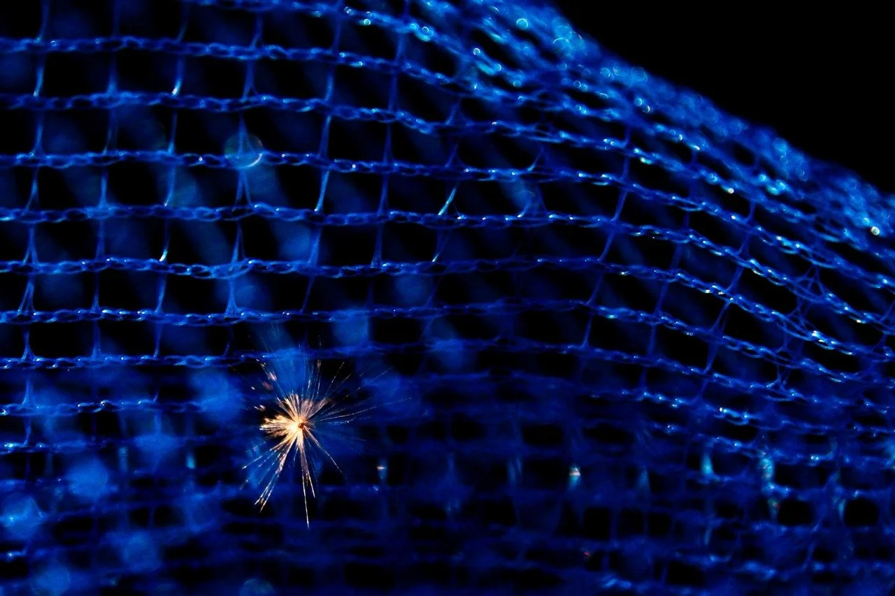 © Sky Stevens, from Open Call #9