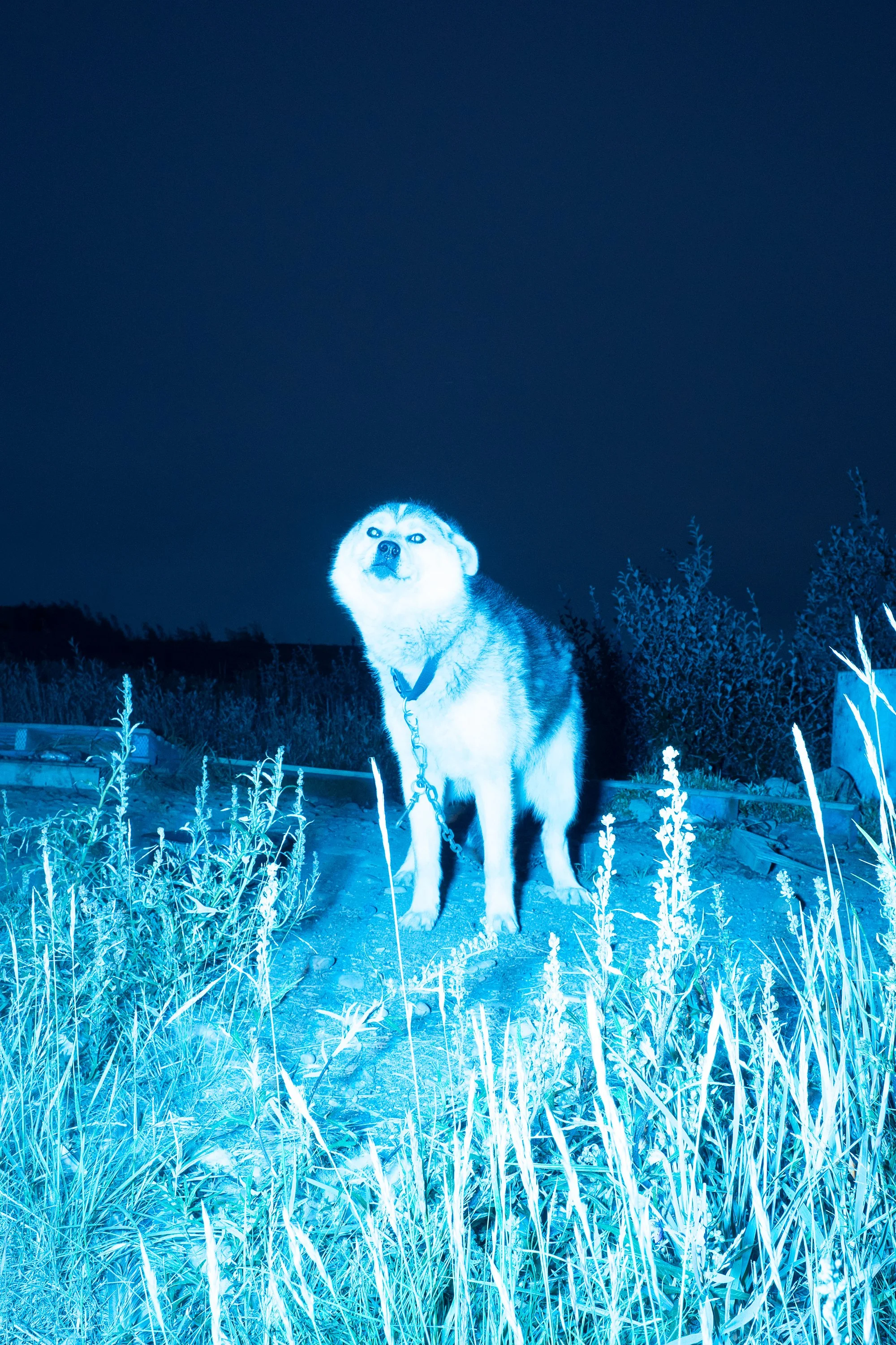 © Vincent Karcher, featured on Neither Here, Nor There