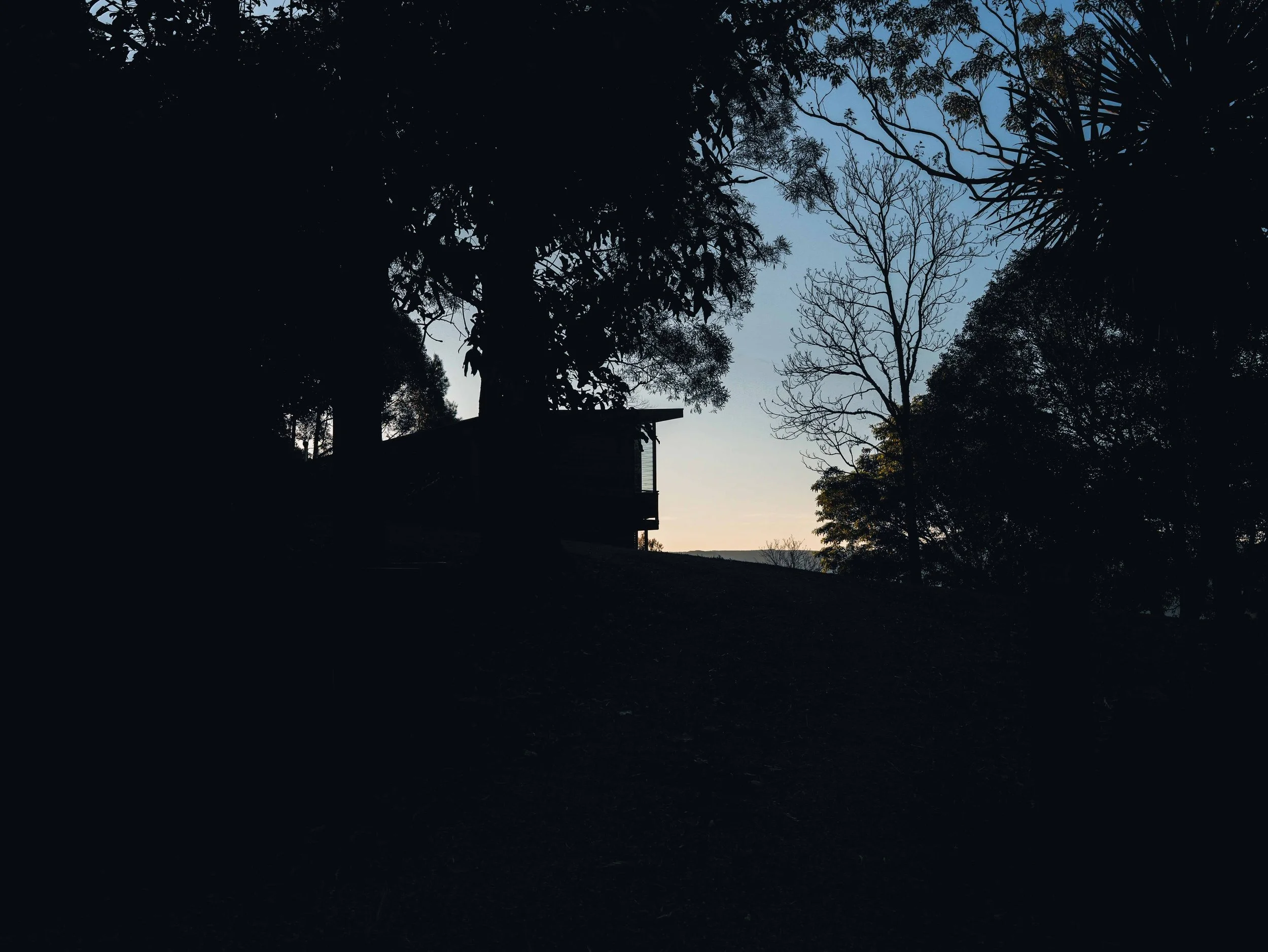 Silhouette from Afar