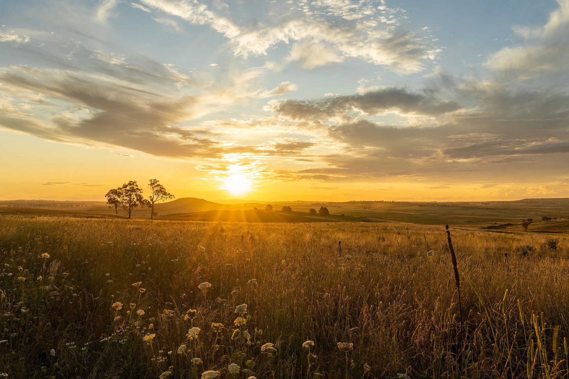 _Q3A0670-Dangarsleigh New Years Eve.jpg