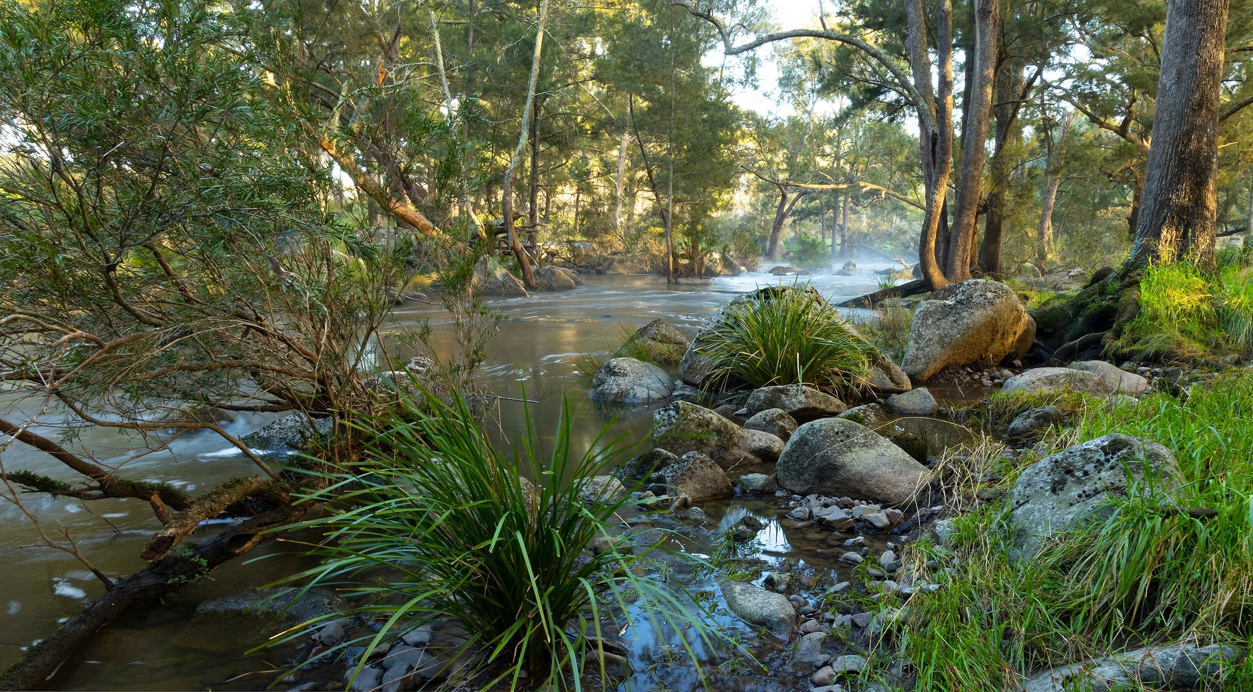 Gara Gorge_Q3A2368.jpg