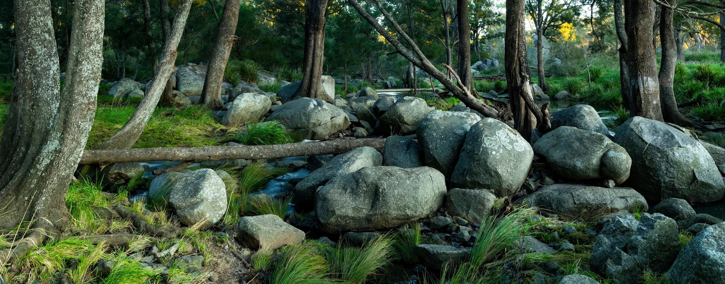 Gara Gorge_Q3A2310.jpg