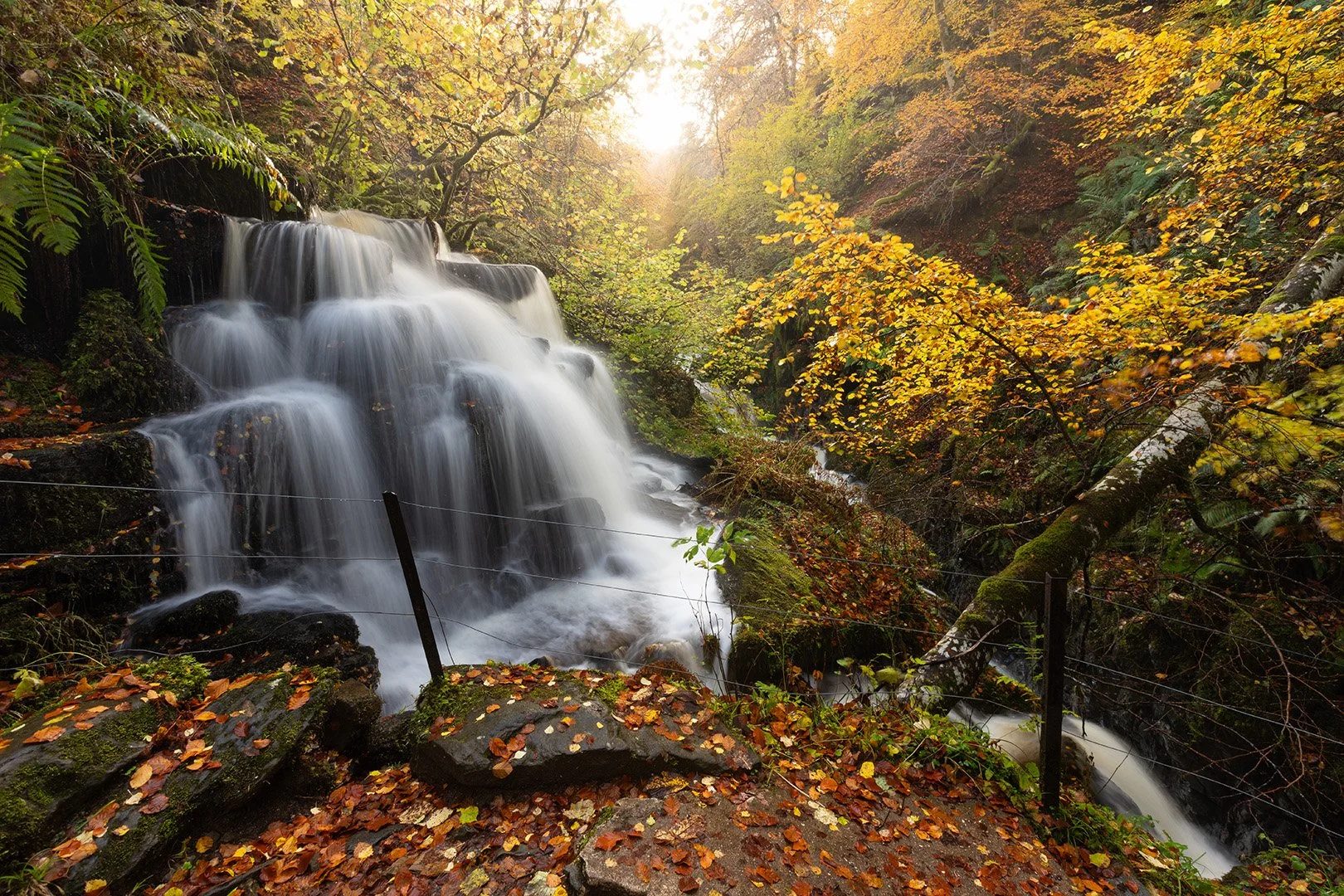 The Birks of Aberfeldy-3.jpg