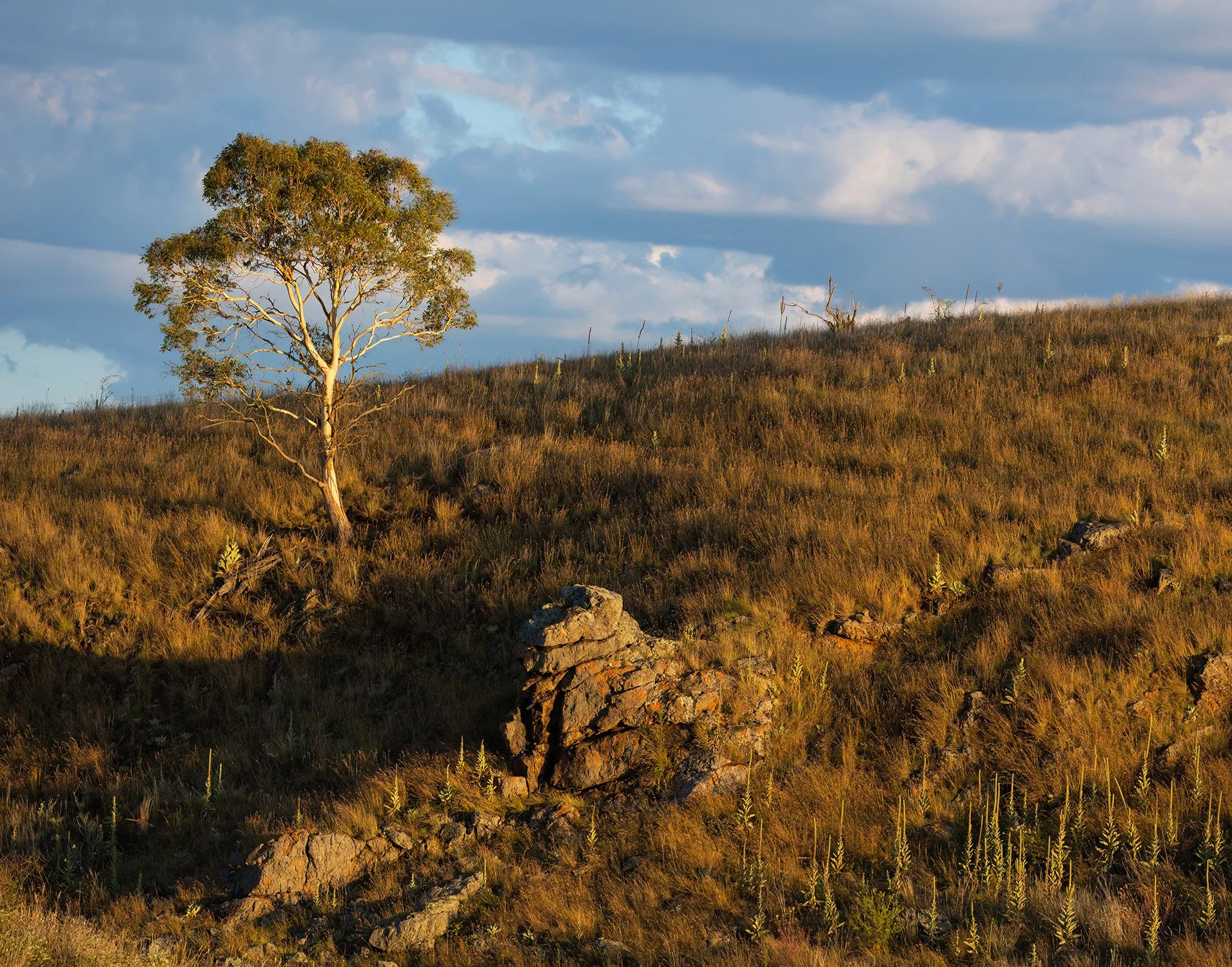 _Q3A2090-Salisbury Waters rocks.jpg