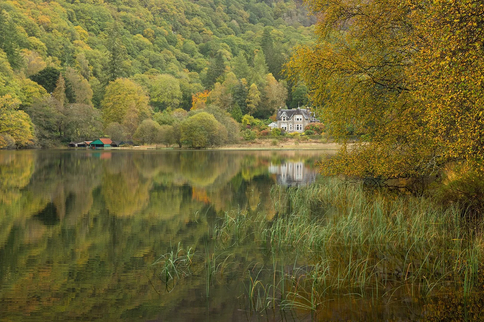 Trossachs-8.jpg