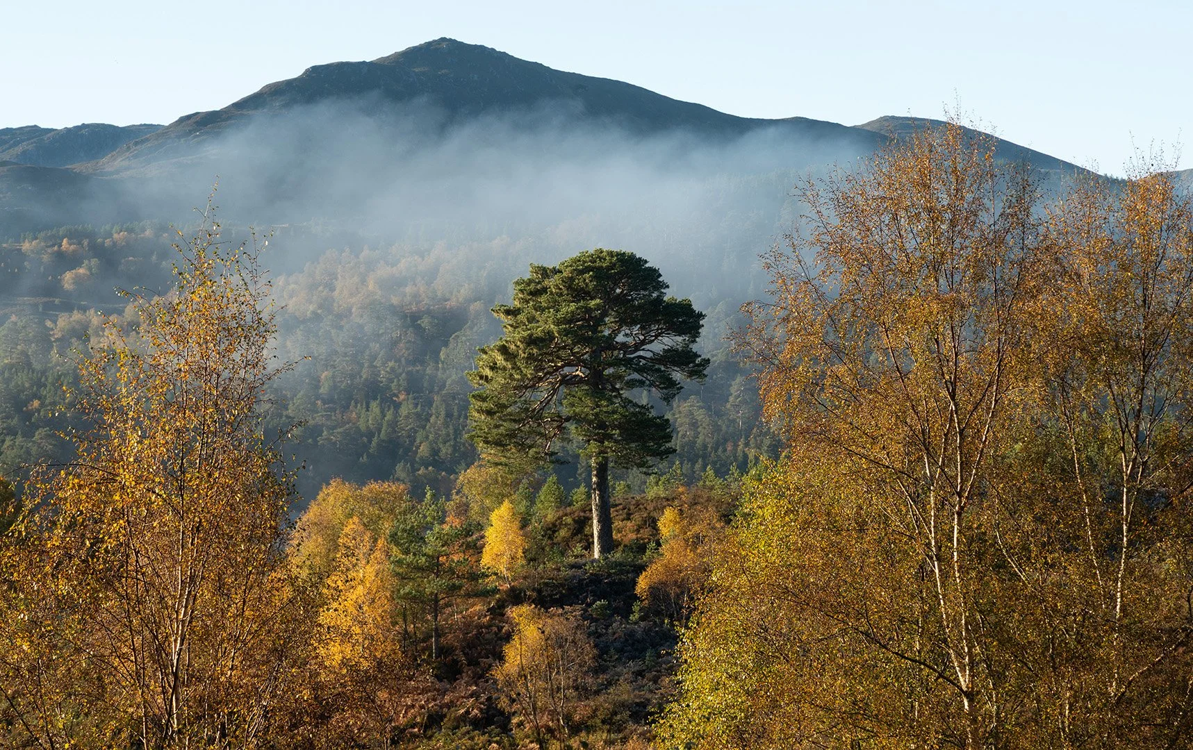 Glen Affric-8.jpg