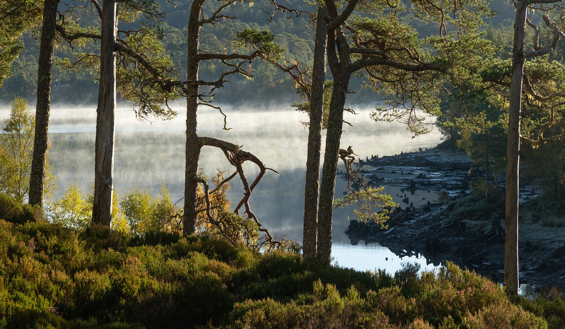 Glen Affric-15.jpg