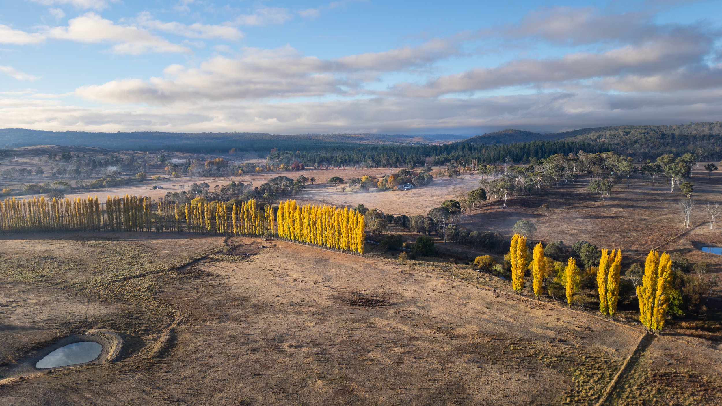 DJI_0757-Edit.jpg