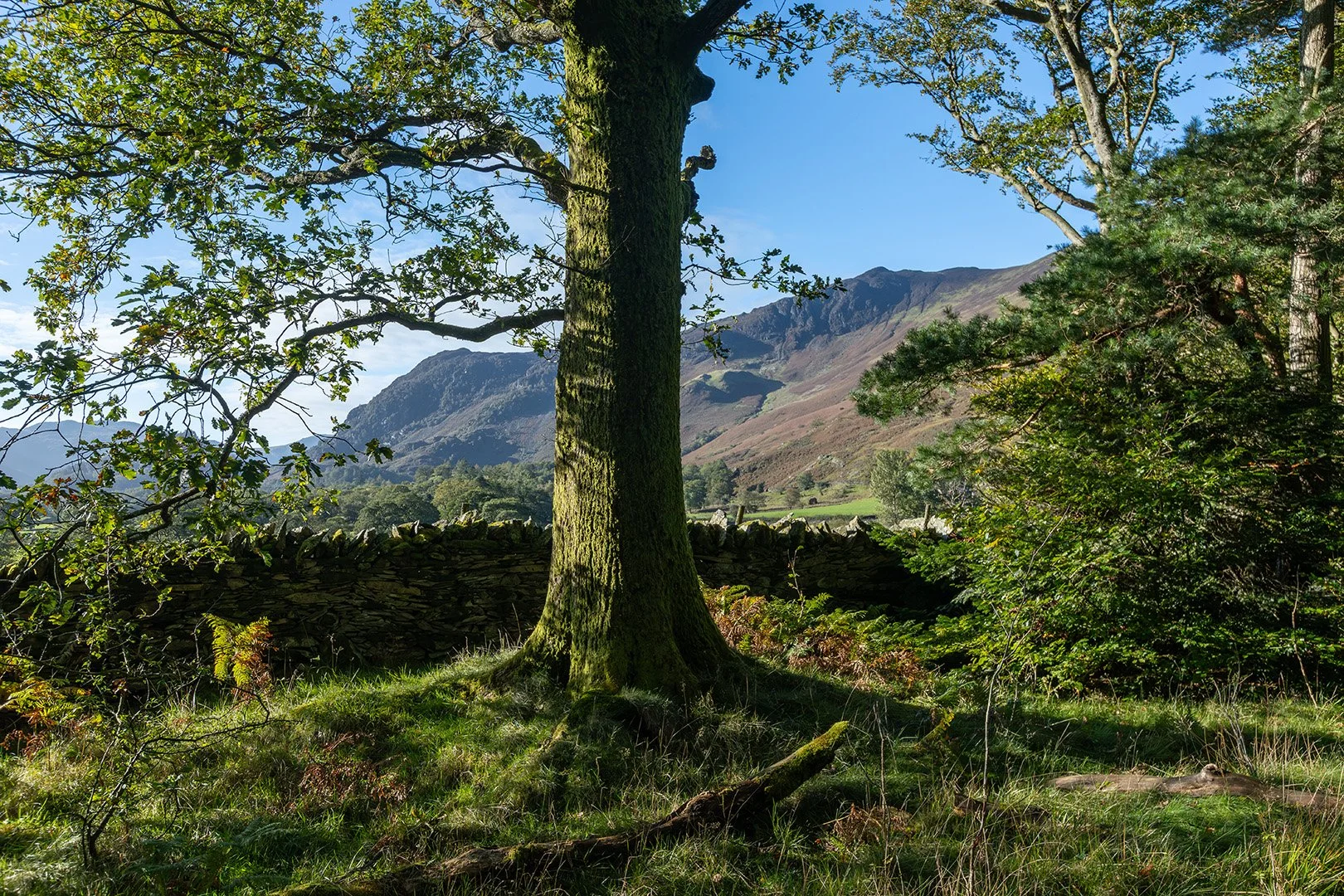 Borrowdale - from campsite.jpg