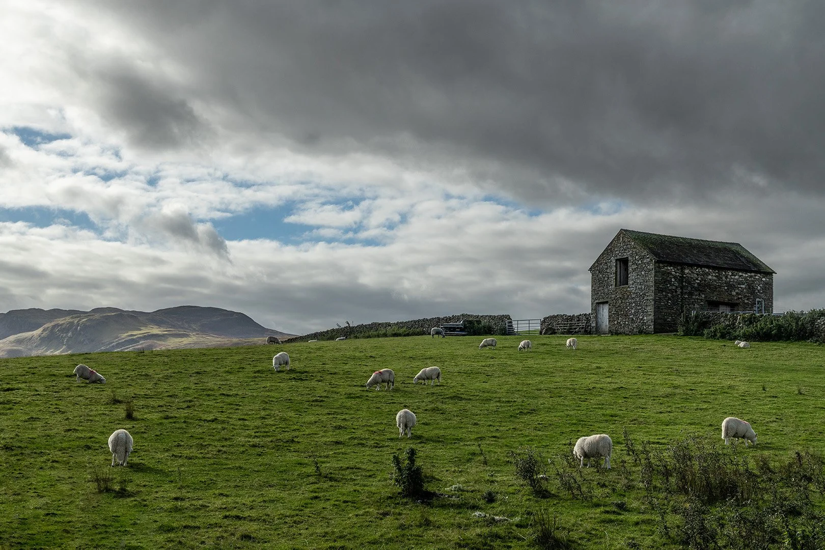 Lake District random scene.jpg