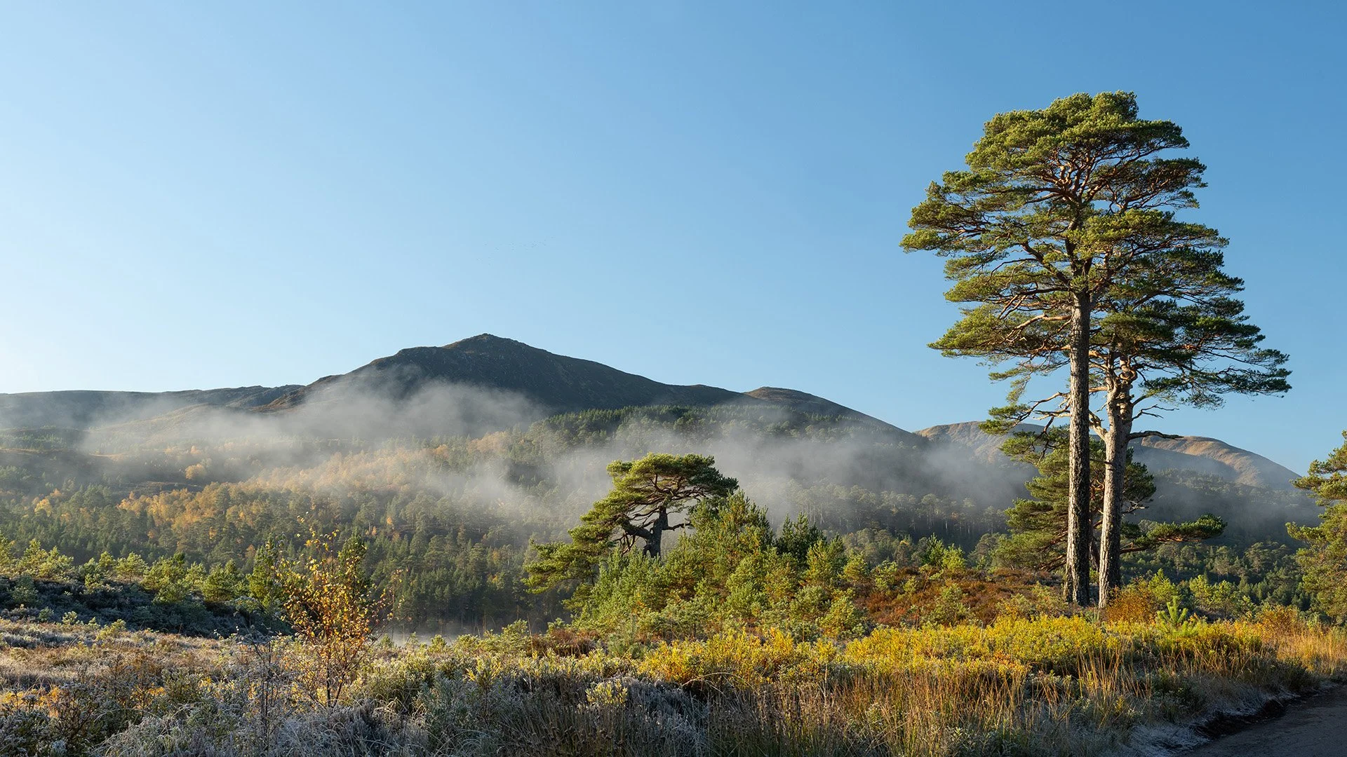 Glen Affric-11.jpg