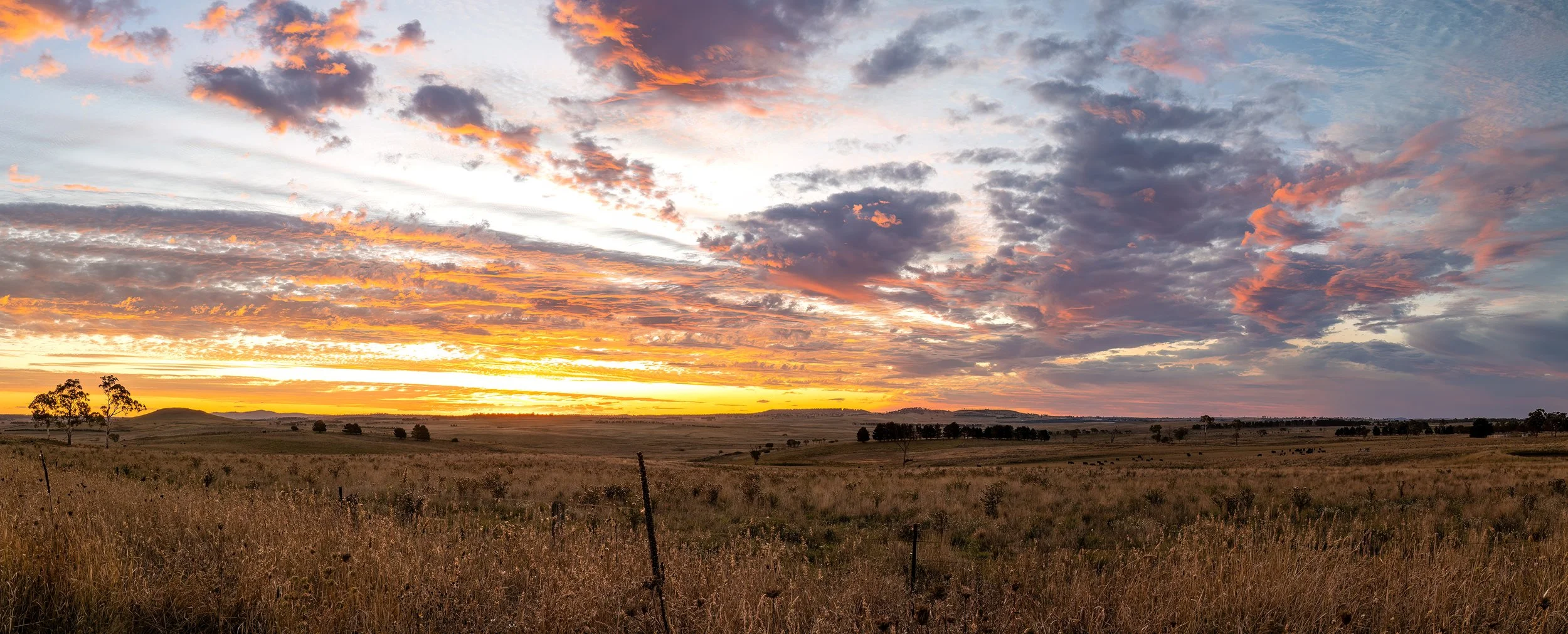 _Q3A4858-Dangarsleigh crimson sunset.jpg