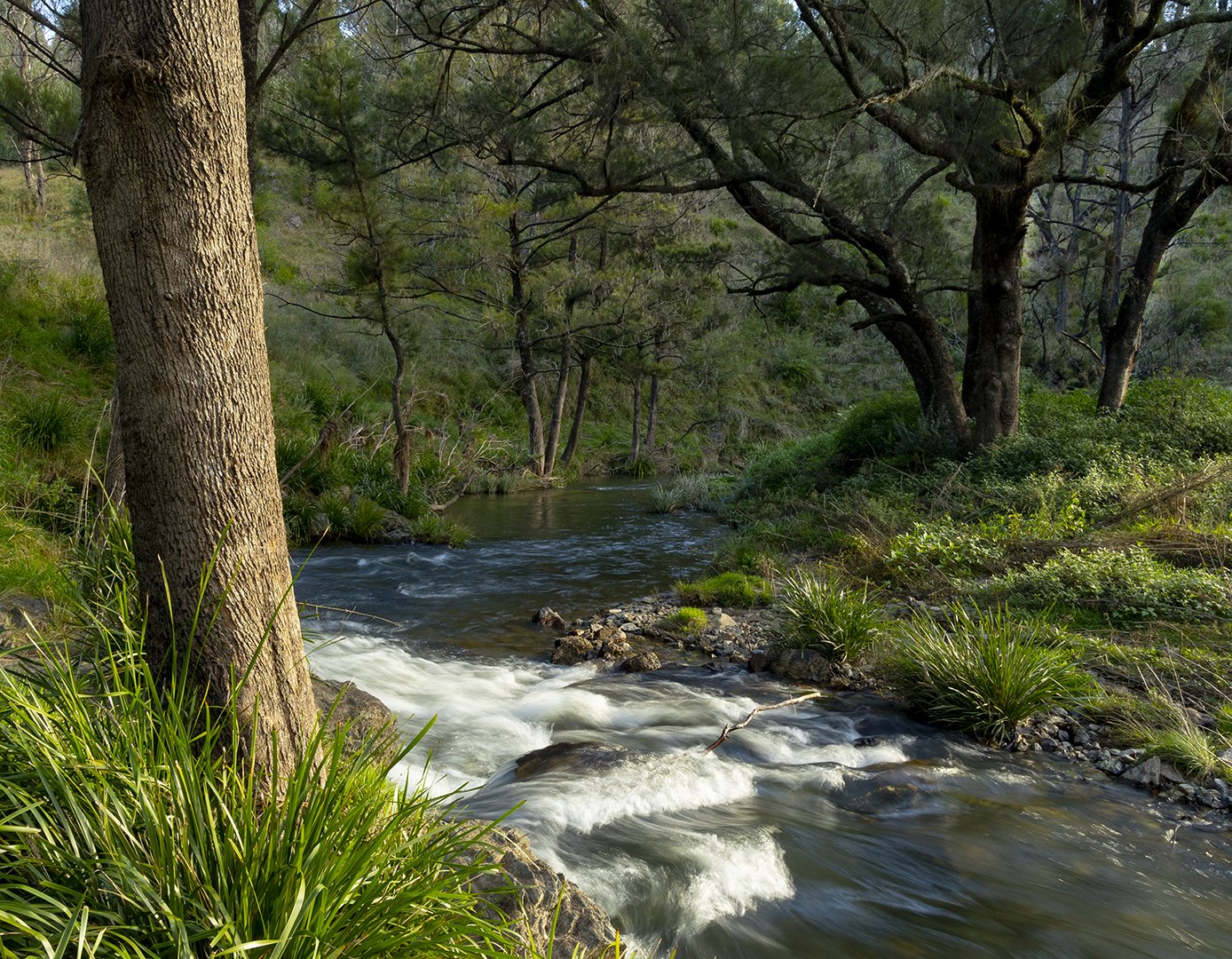 Warnes River_Q3A2465.jpg