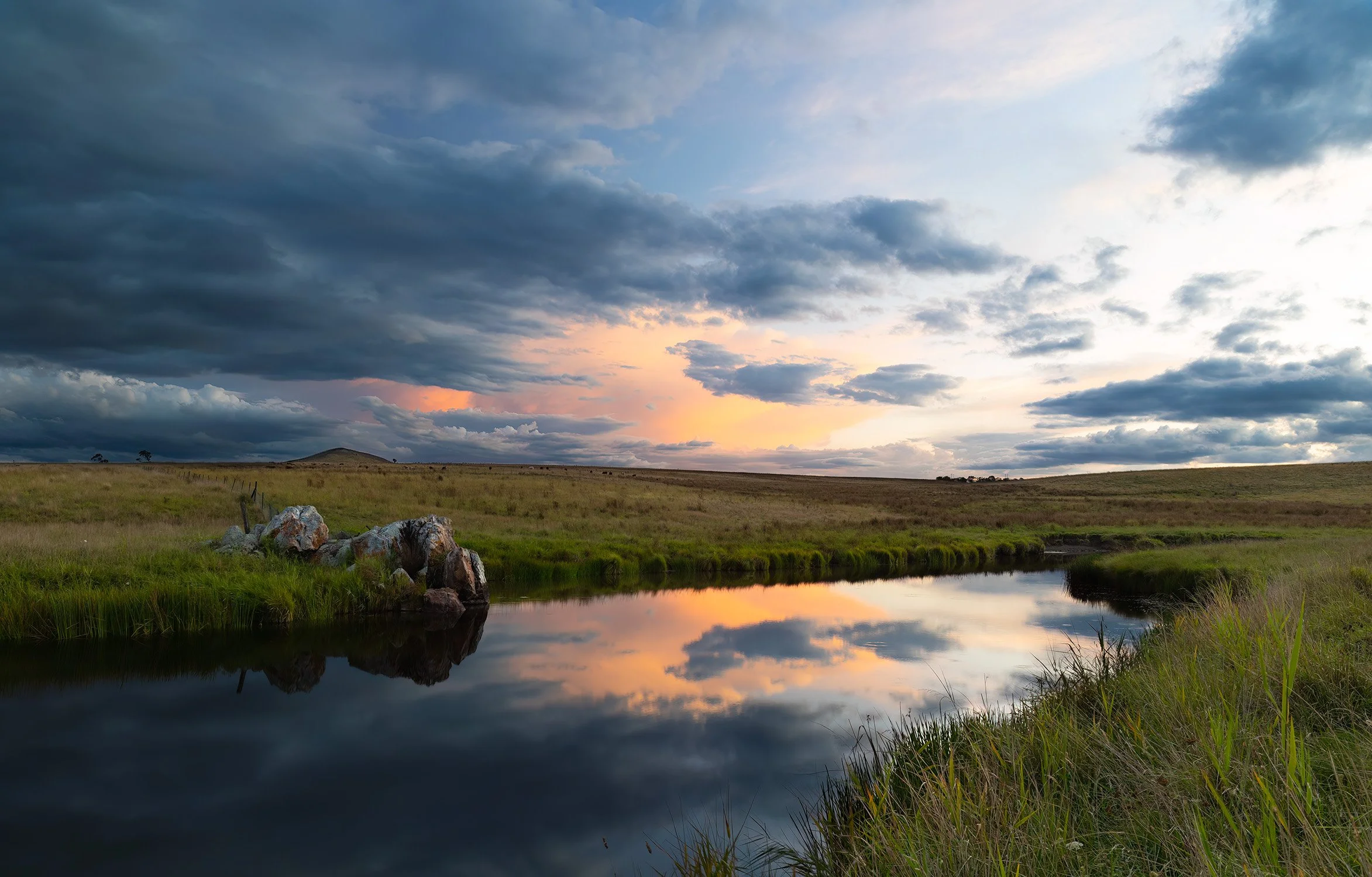 0Q3A8803-Elliots Rd Dangarsleigh.jpg