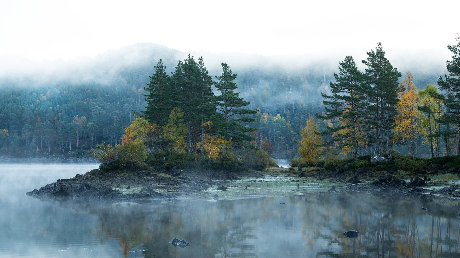 Glen Affric-1.jpg