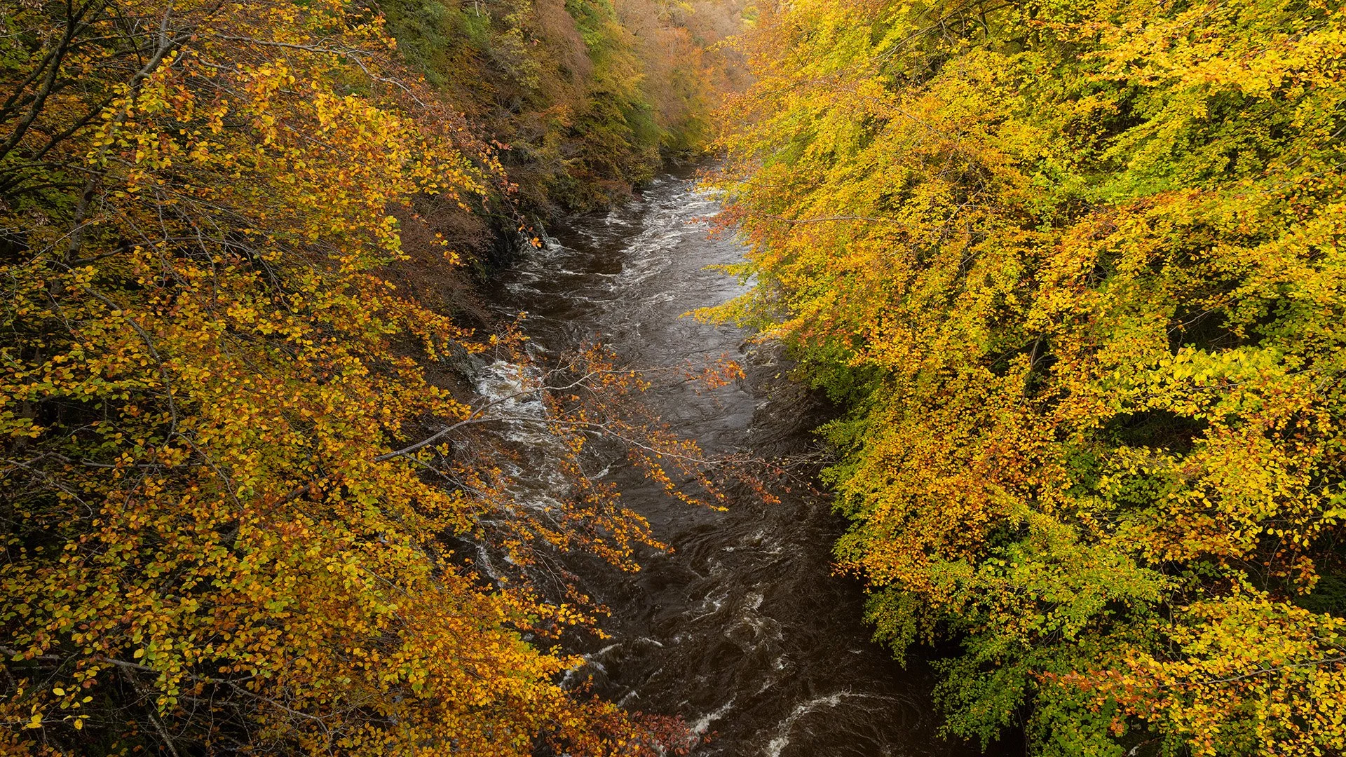 Killiecrankie.jpg